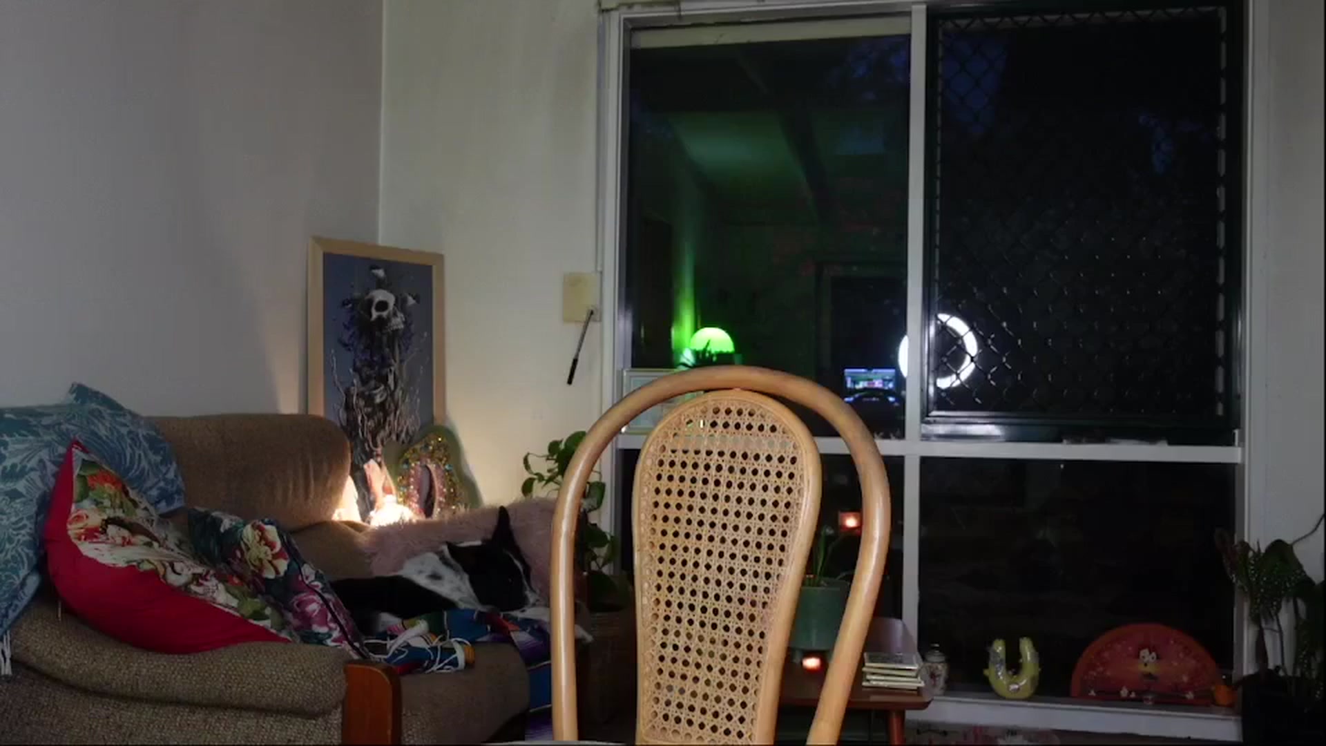 Gallery image thumbnail from Alt_Aussie's myfreecams stream on, 11/14/2024, 10:13 image 9 of 20