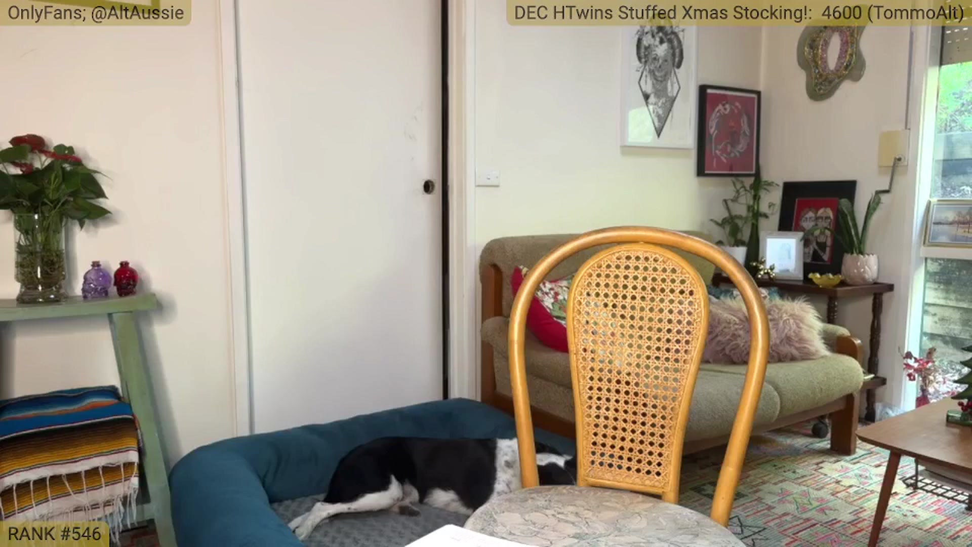 Gallery image thumbnail from Alt_Aussie's myfreecams stream on, 12/29/2024, 08:49 image 11 of 20