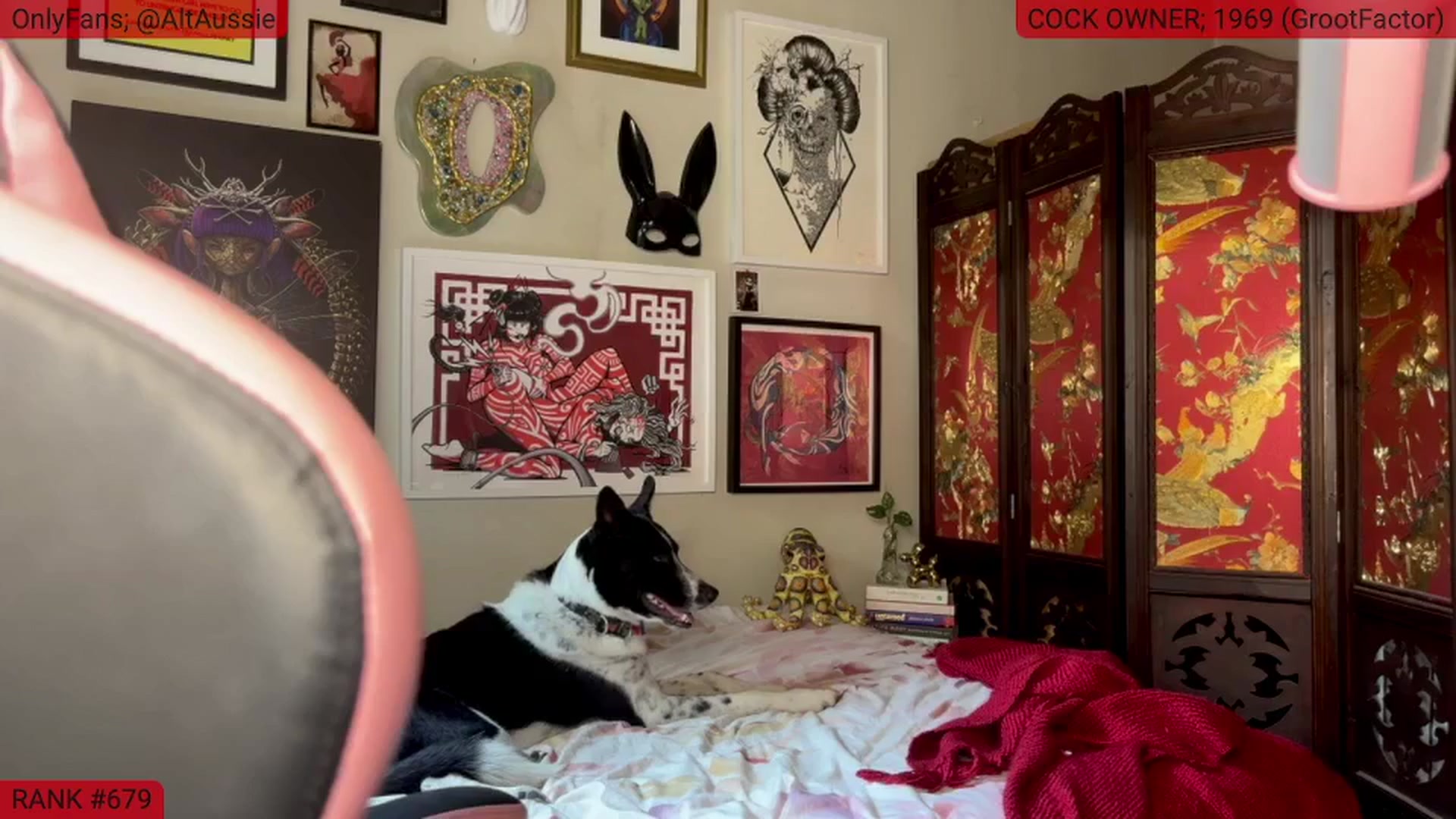 Gallery image thumbnail from Alt_Aussie's myfreecams stream on, 01/21/2025, 08:52 image 6 of 20