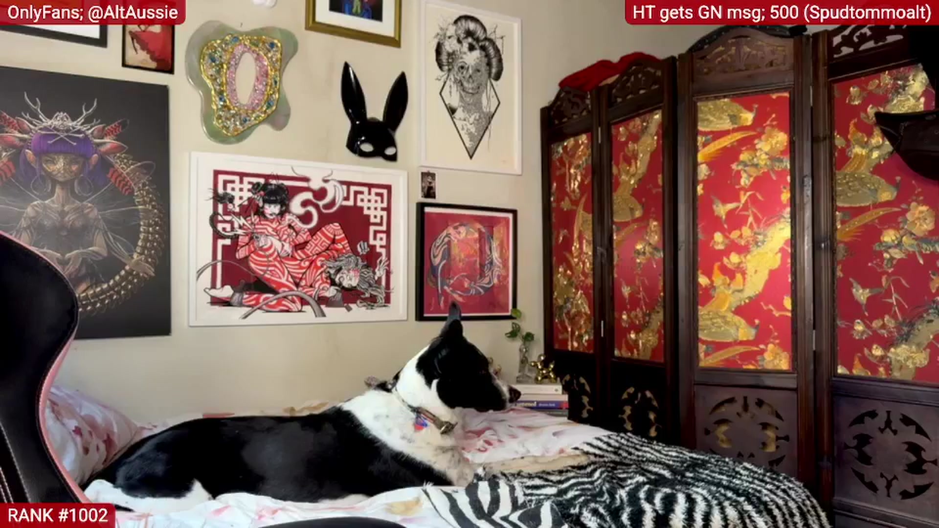 Gallery image thumbnail from Alt_Aussie's myfreecams stream on, 02/10/2025, 09:01 image 15 of 20