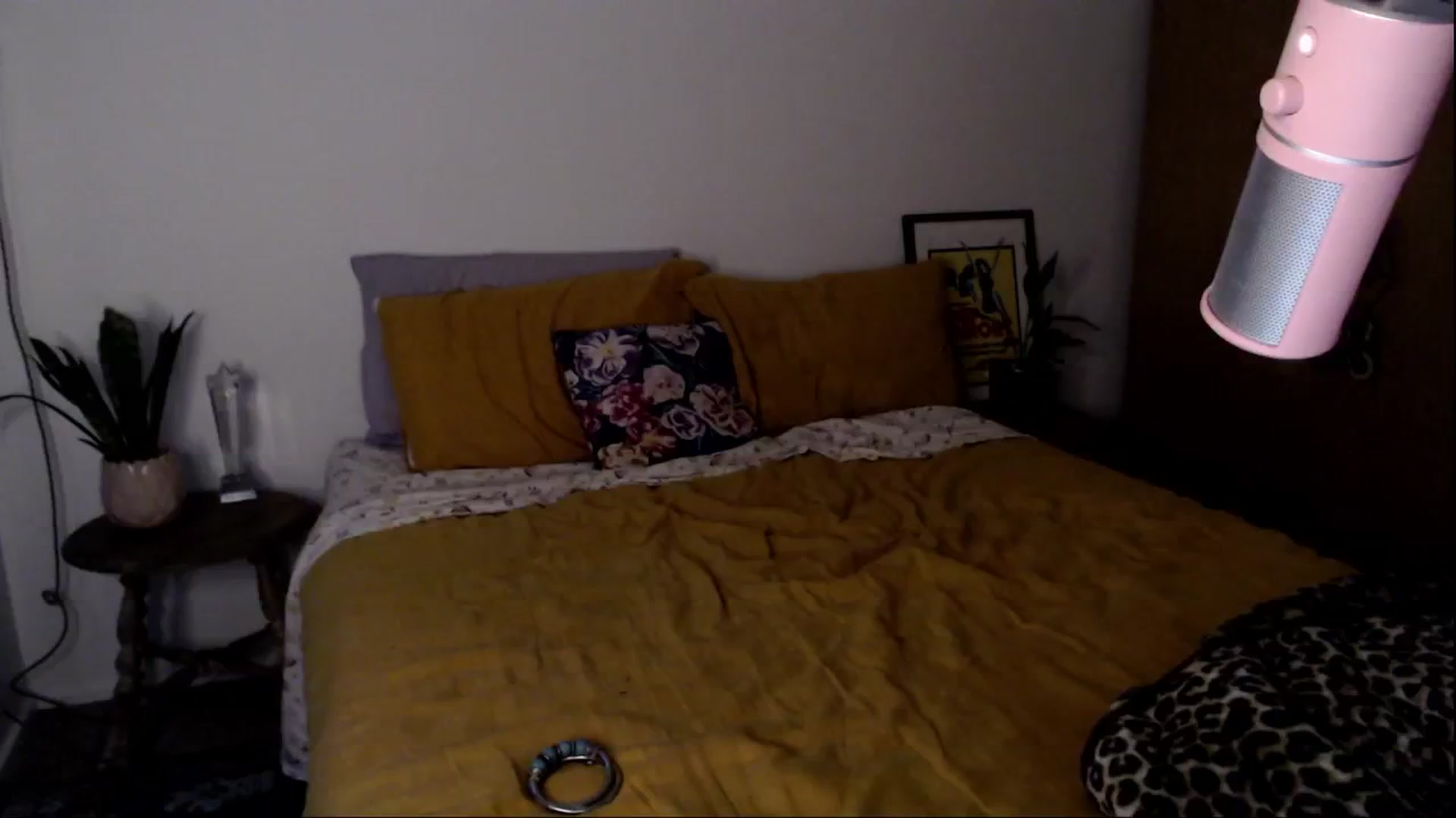 Gallery image thumbnail from Alt_Aussie's myfreecams stream on, 03/21/2025, 09:59 image 6 of 20