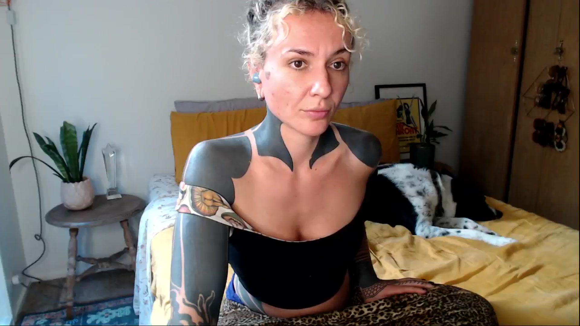 Gallery image thumbnail from Alt_Aussie's myfreecams stream on, 03/24/2025, 07:52 image 13 of 20