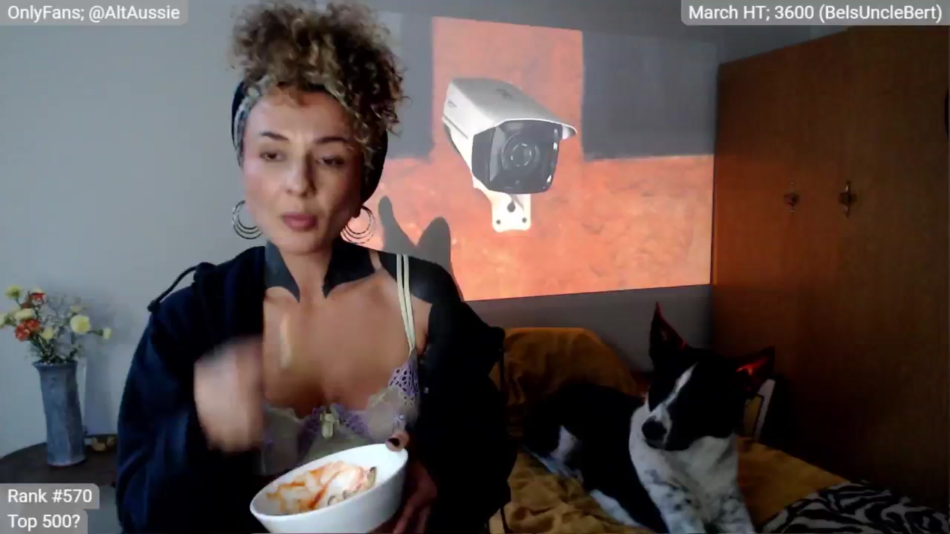Gallery image thumbnail from Alt_Aussie's myfreecams stream on, 03/31/2025, 08:19 image 12 of 20