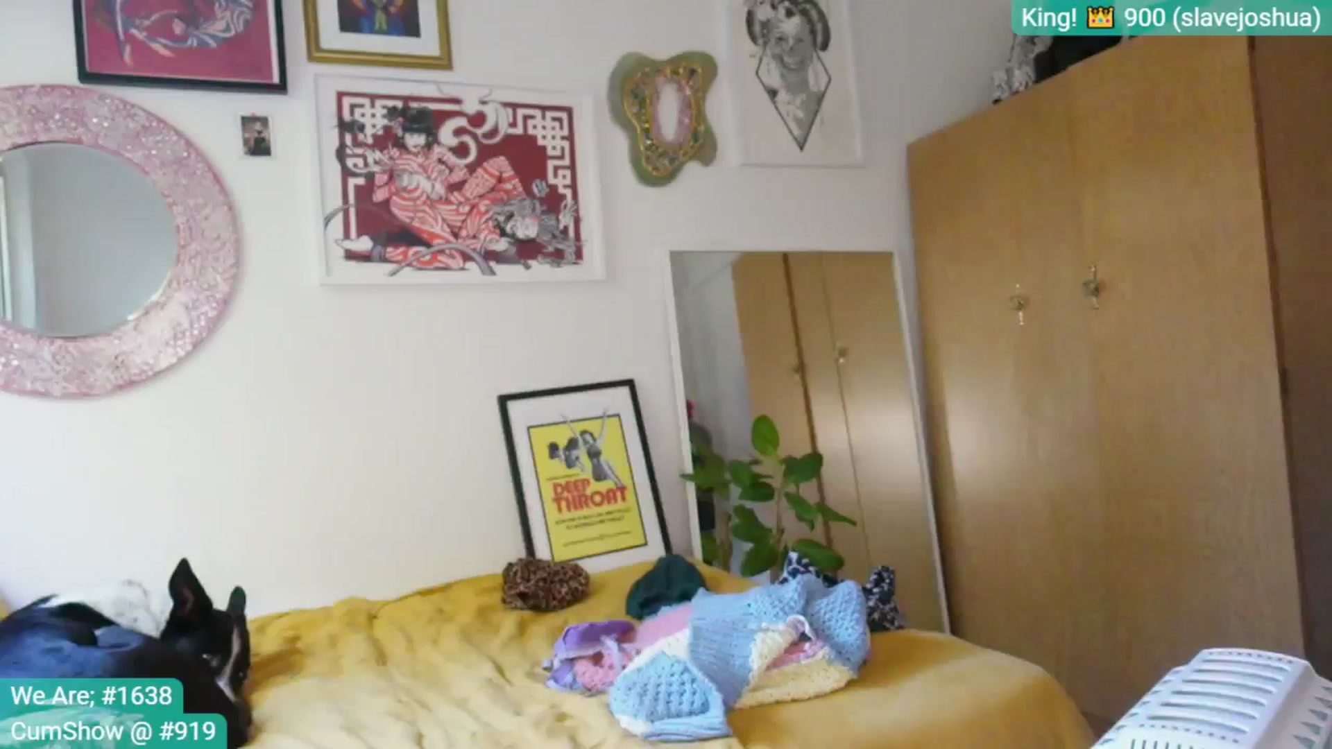 Gallery image thumbnail from Alt_Aussie's myfreecams stream on, 05/11/2025, 01:20 image 17 of 20