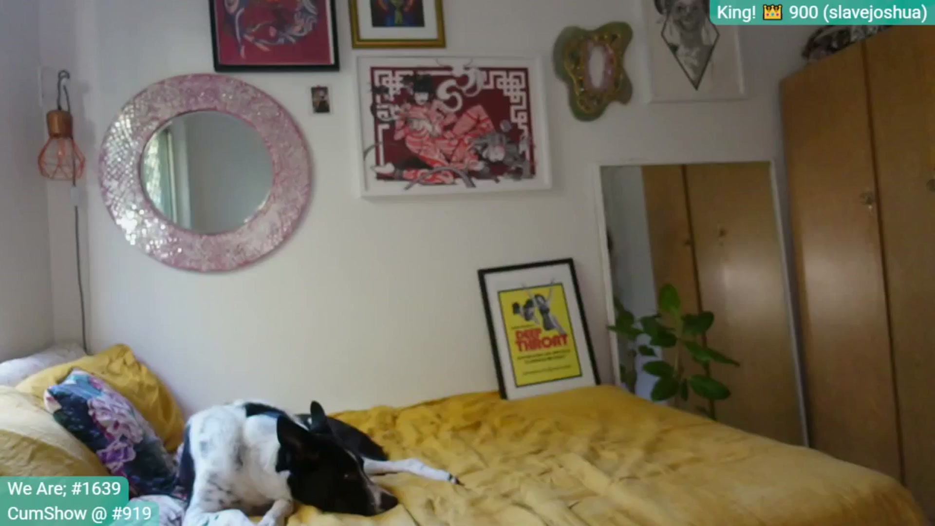 Gallery image thumbnail from Alt_Aussie's myfreecams stream on, 05/11/2025, 01:20 image 14 of 20