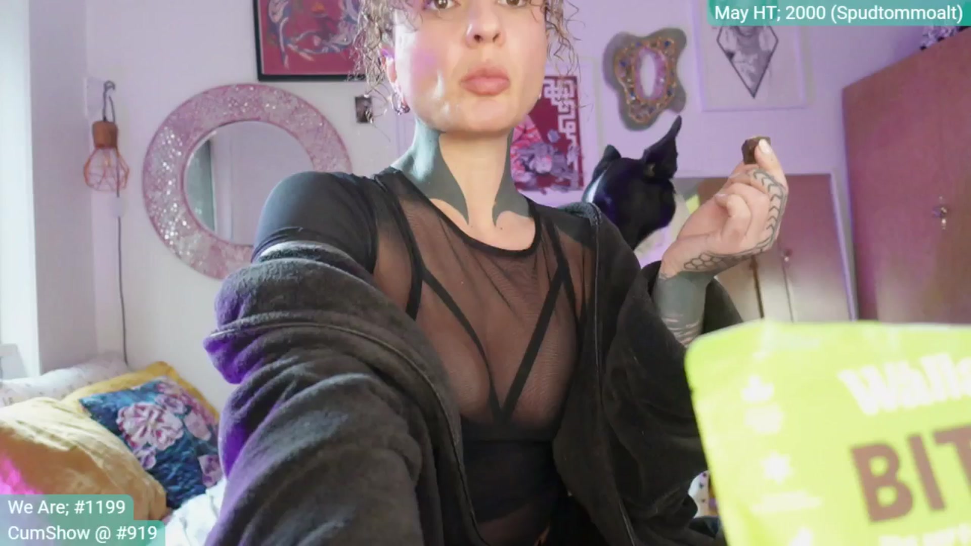 Gallery image thumbnail from Alt_Aussie's myfreecams stream on, 05/14/2025, 07:30 image 7 of 20