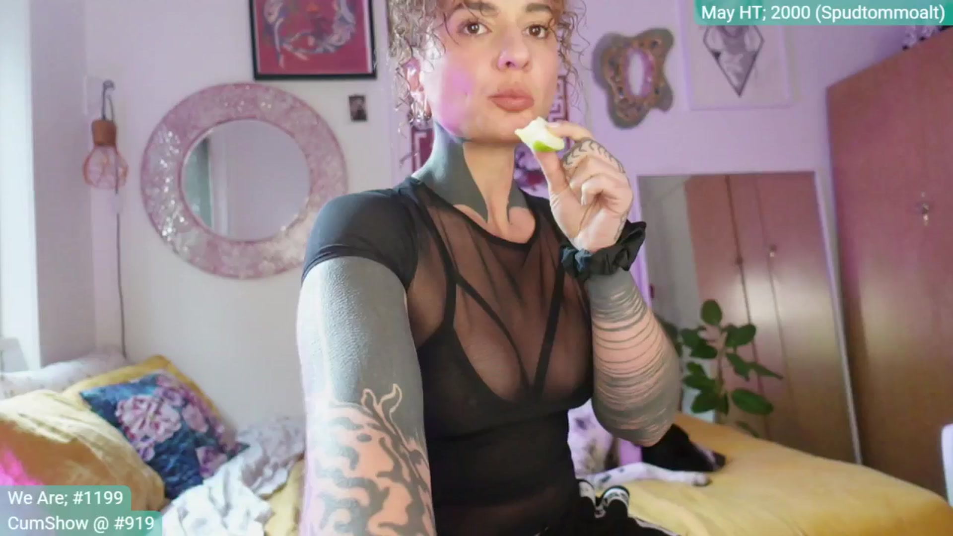 Gallery image thumbnail from Alt_Aussie's myfreecams stream on, 05/14/2025, 07:30 image 4 of 20