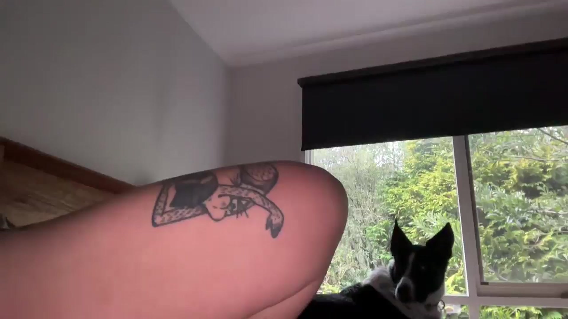 Gallery image thumbnail from Alt_Aussie's myfreecams stream on, 05/30/2025, 08:36 image 2 of 20