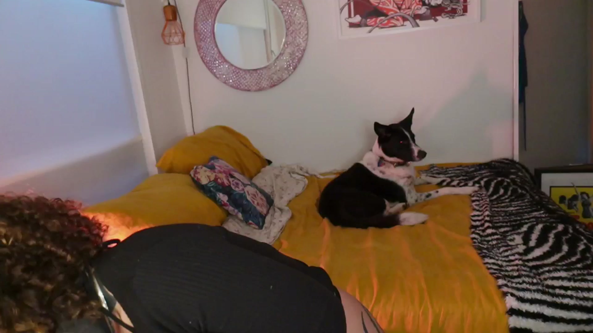 Gallery image thumbnail from Alt_Aussie's myfreecams stream on, 06/11/2025, 08:31 image 7 of 20