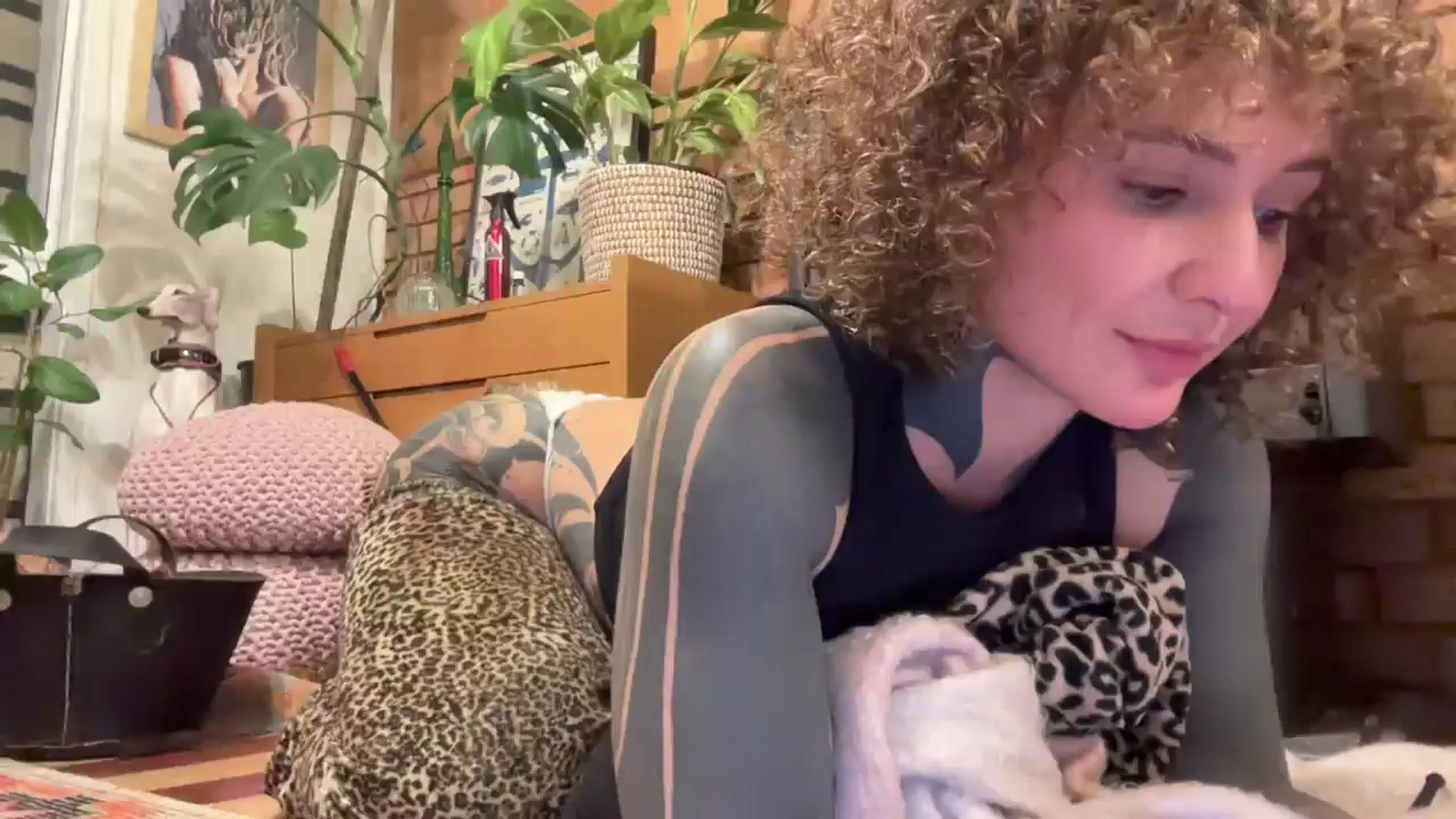Gallery image thumbnail from Alt_Aussie's myfreecams stream on, 06/13/2025, 08:59 image 14 of 20