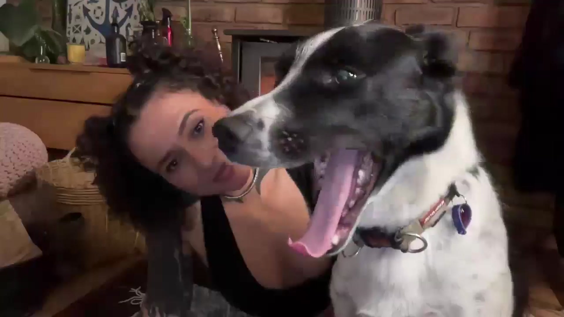 Gallery image thumbnail from Alt_Aussie's myfreecams stream on, 06/24/2025, 07:59 image 12 of 20