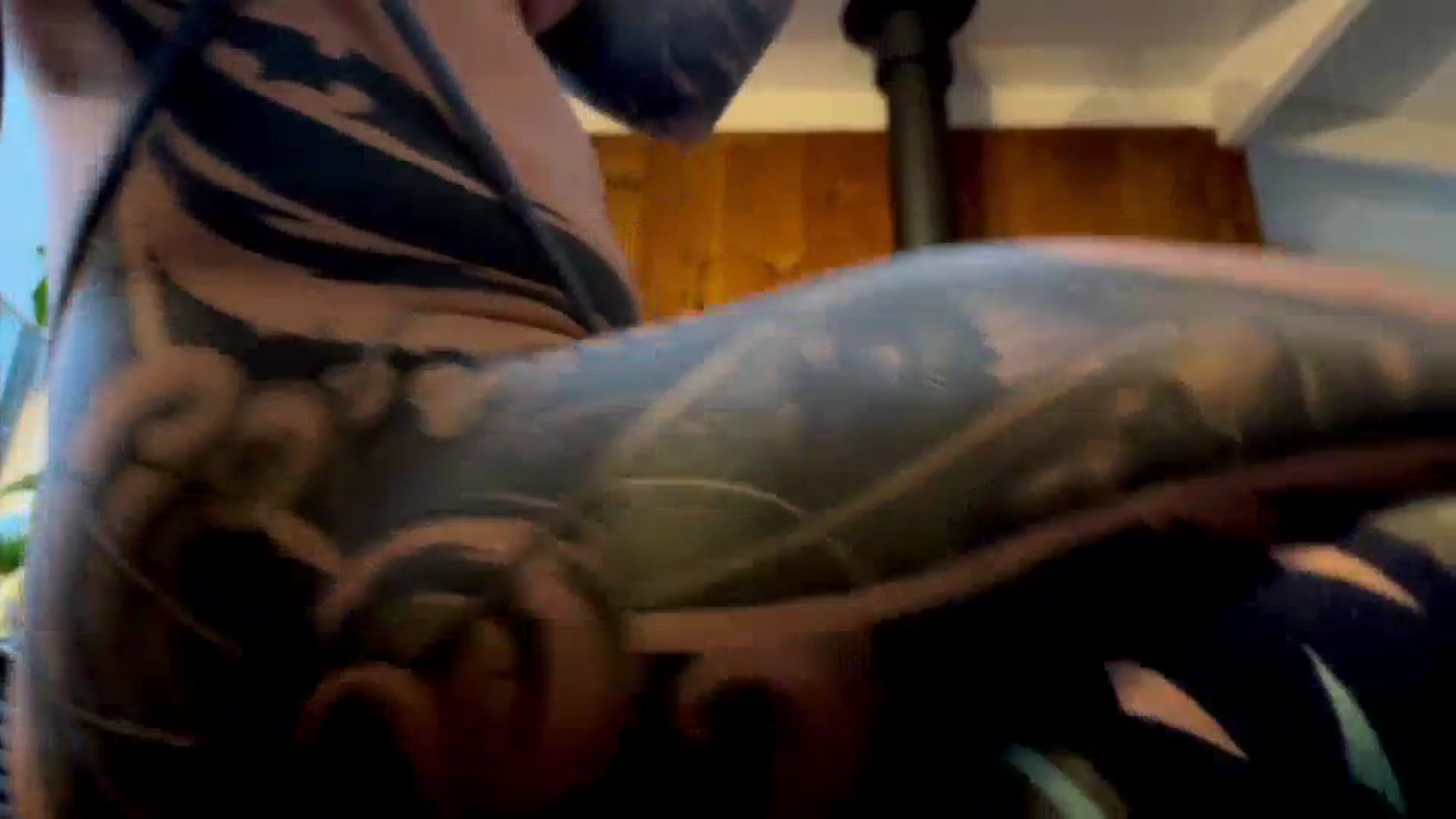 Gallery image thumbnail from Alt_Aussie's myfreecams stream on, 07/03/2025, 07:59 image 13 of 20