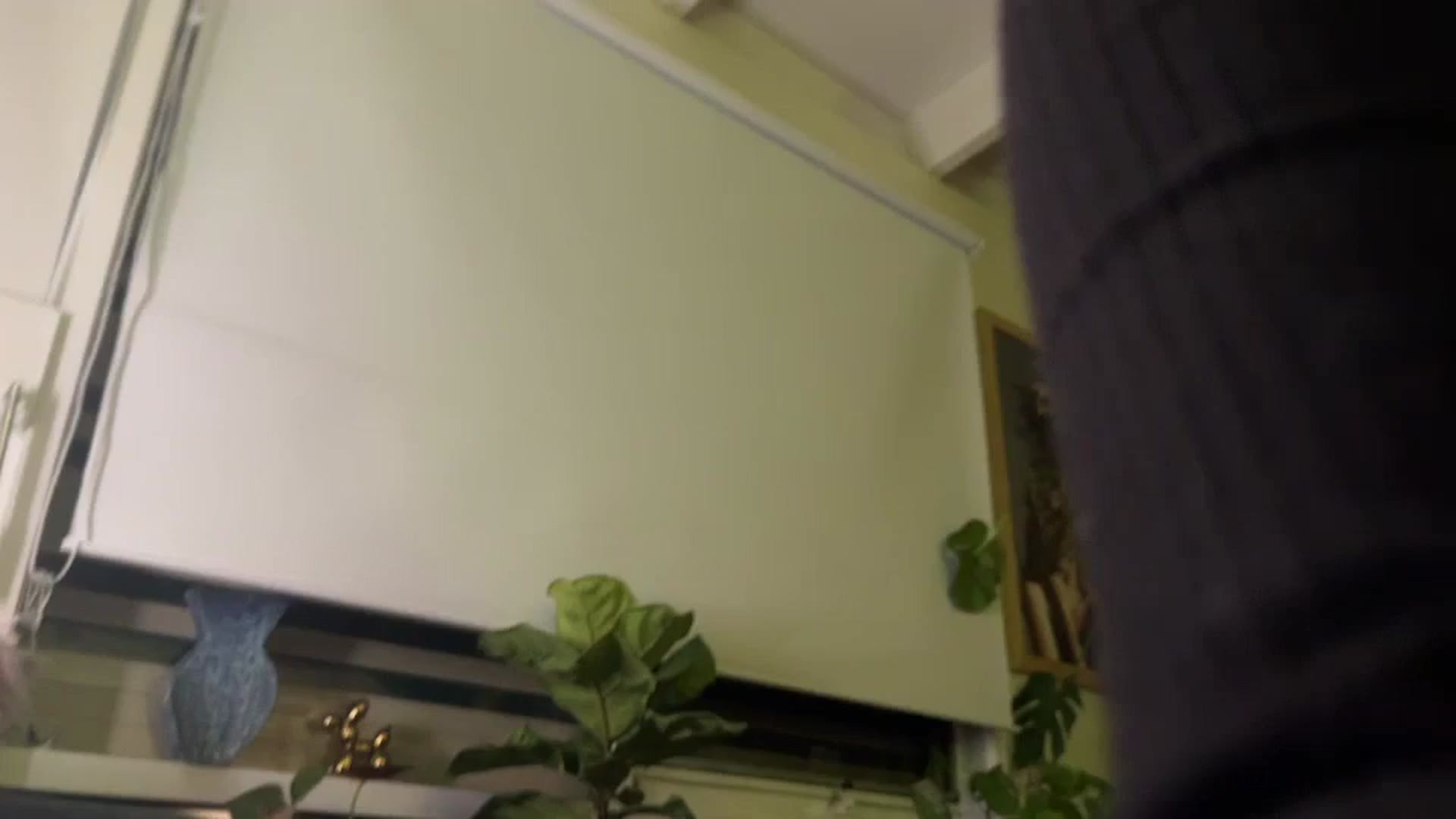Gallery image thumbnail from Alt_Aussie's myfreecams stream on, 08/07/2025, 08:23 image 14 of 20