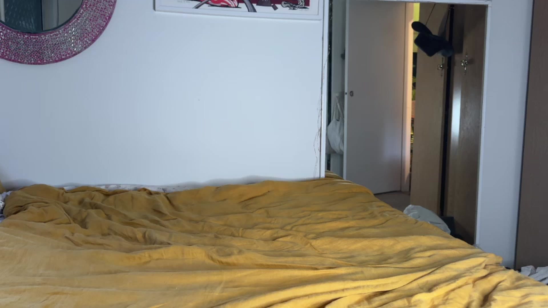 Gallery image thumbnail from Alt_Aussie's myfreecams stream on, 09/02/2025, 09:34 image 12 of 20