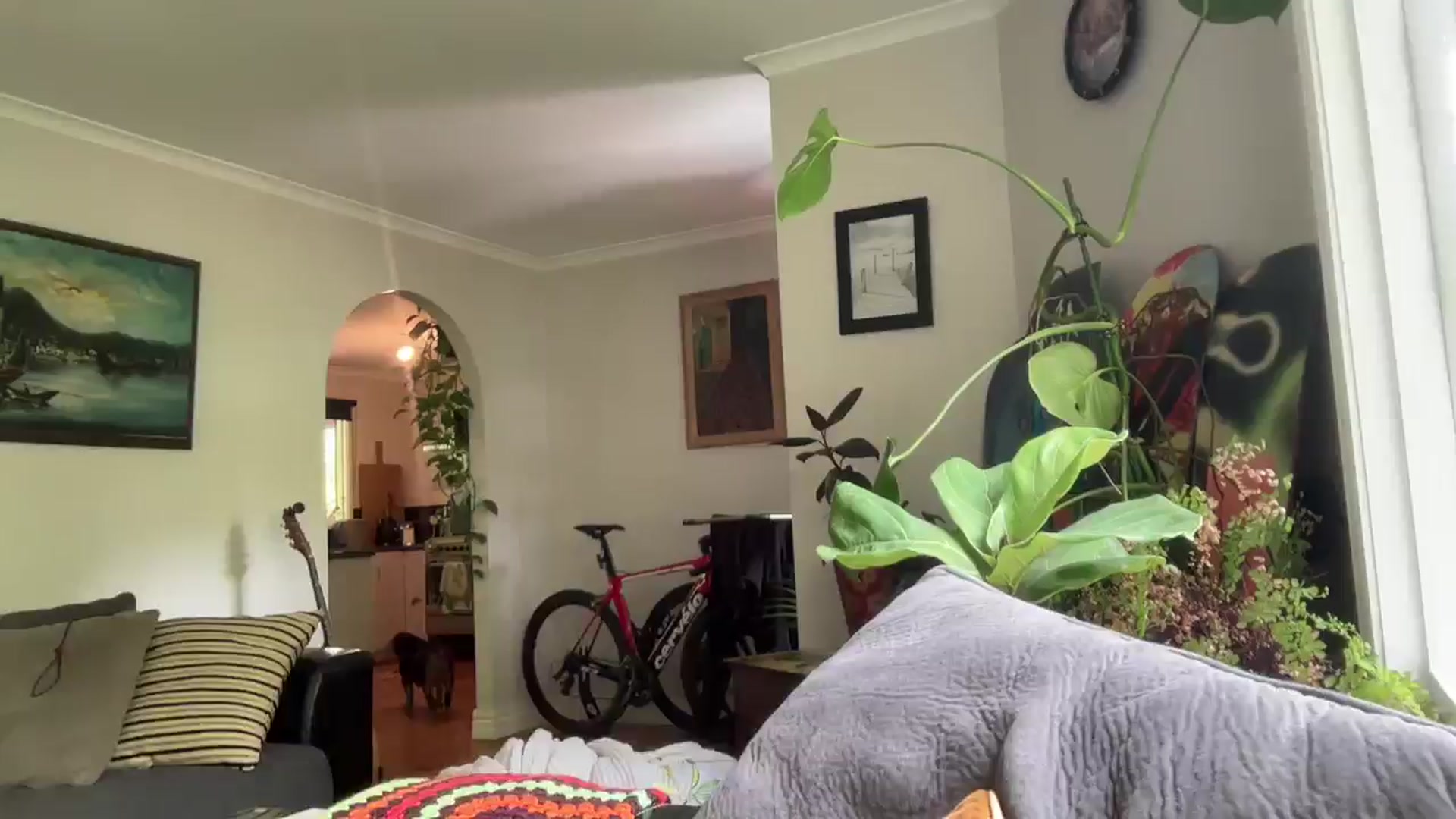 Gallery image thumbnail from Alt_Aussie's myfreecams stream on, 11/11/2025, 03:23 image 17 of 20