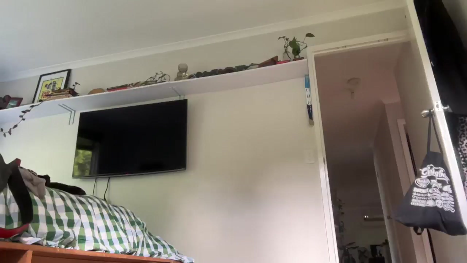 Gallery image thumbnail from Alt_Aussie's myfreecams stream on, 11/20/2025, 07:09 image 18 of 20