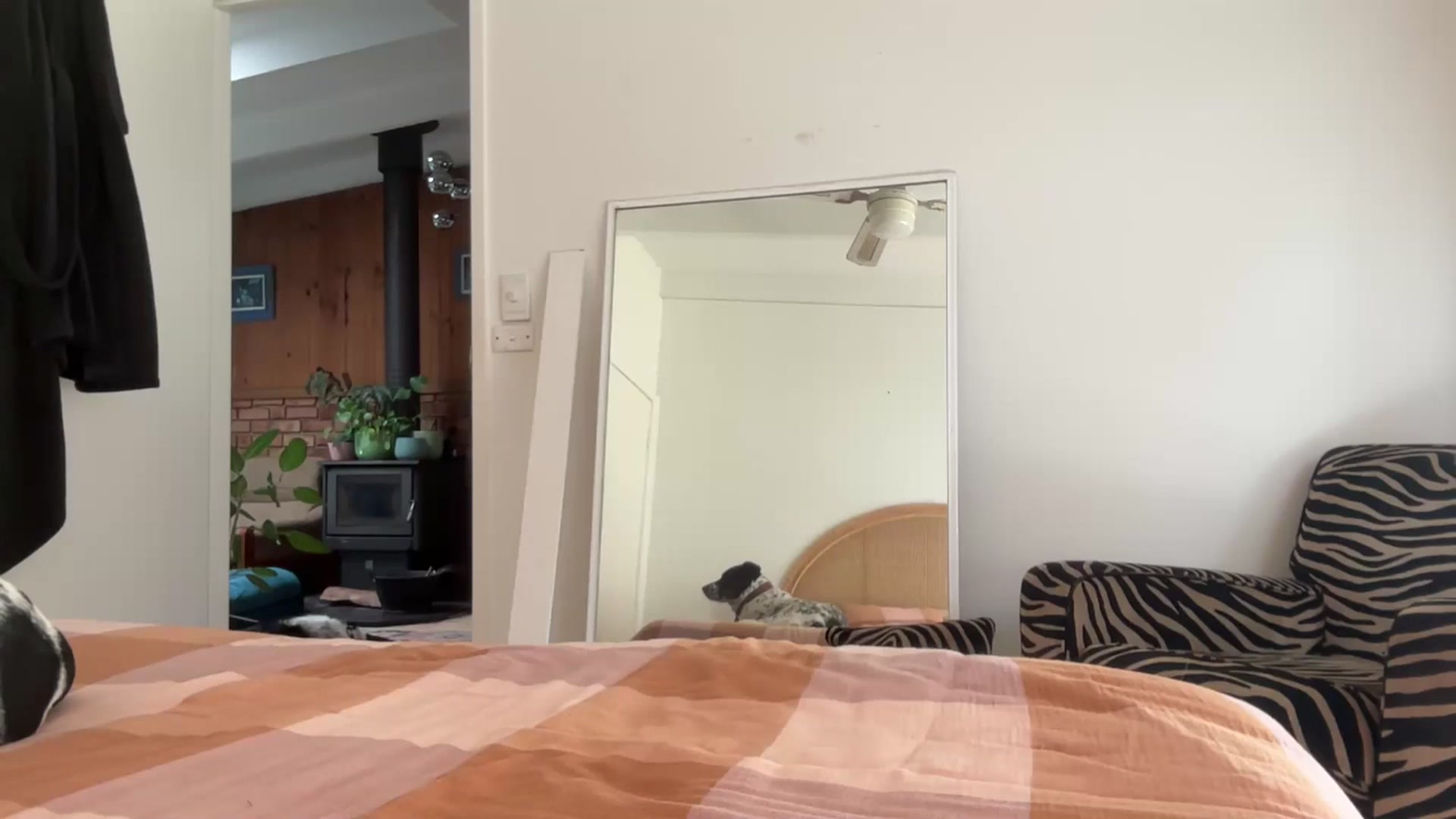 Gallery image thumbnail from Alt_Aussie's myfreecams stream on, 12/09/2025, 08:55 image 8 of 20