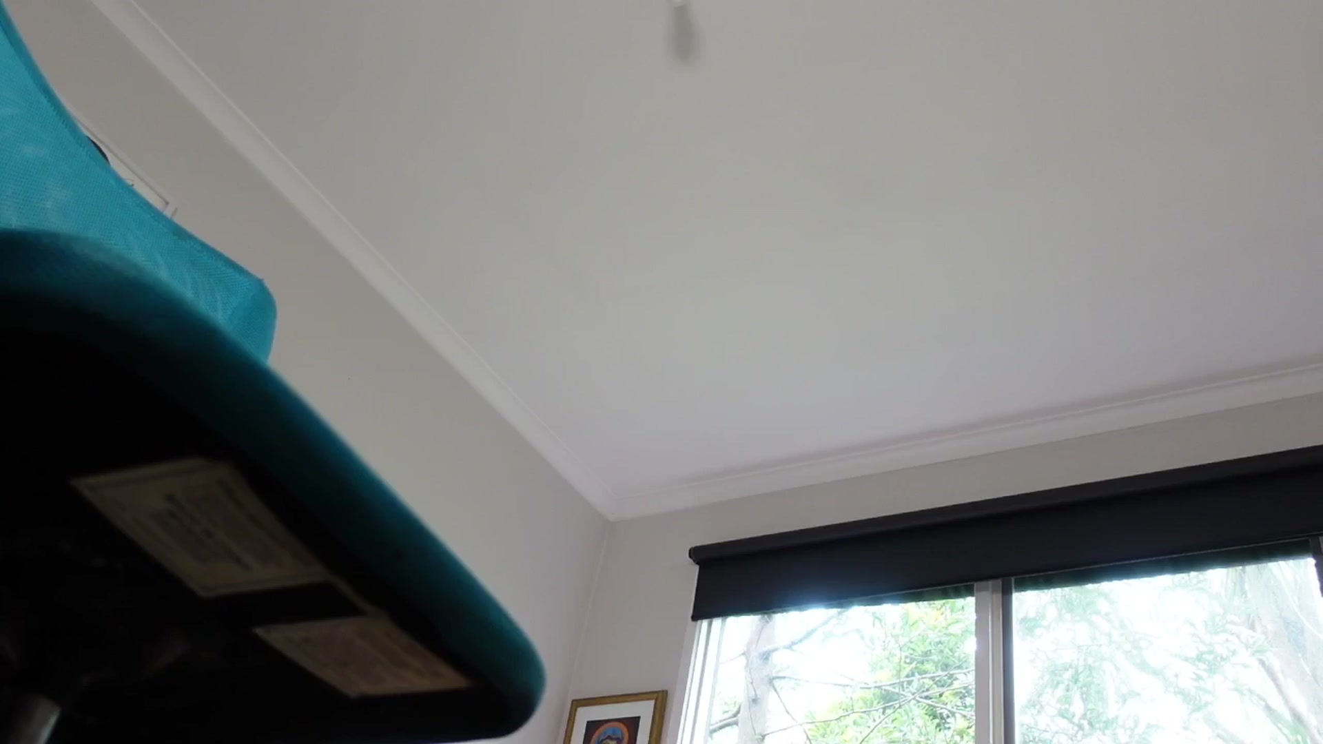 Gallery image thumbnail from Alt_Aussie's myfreecams stream on, 03/16/2026, 05:08 image 15 of 20