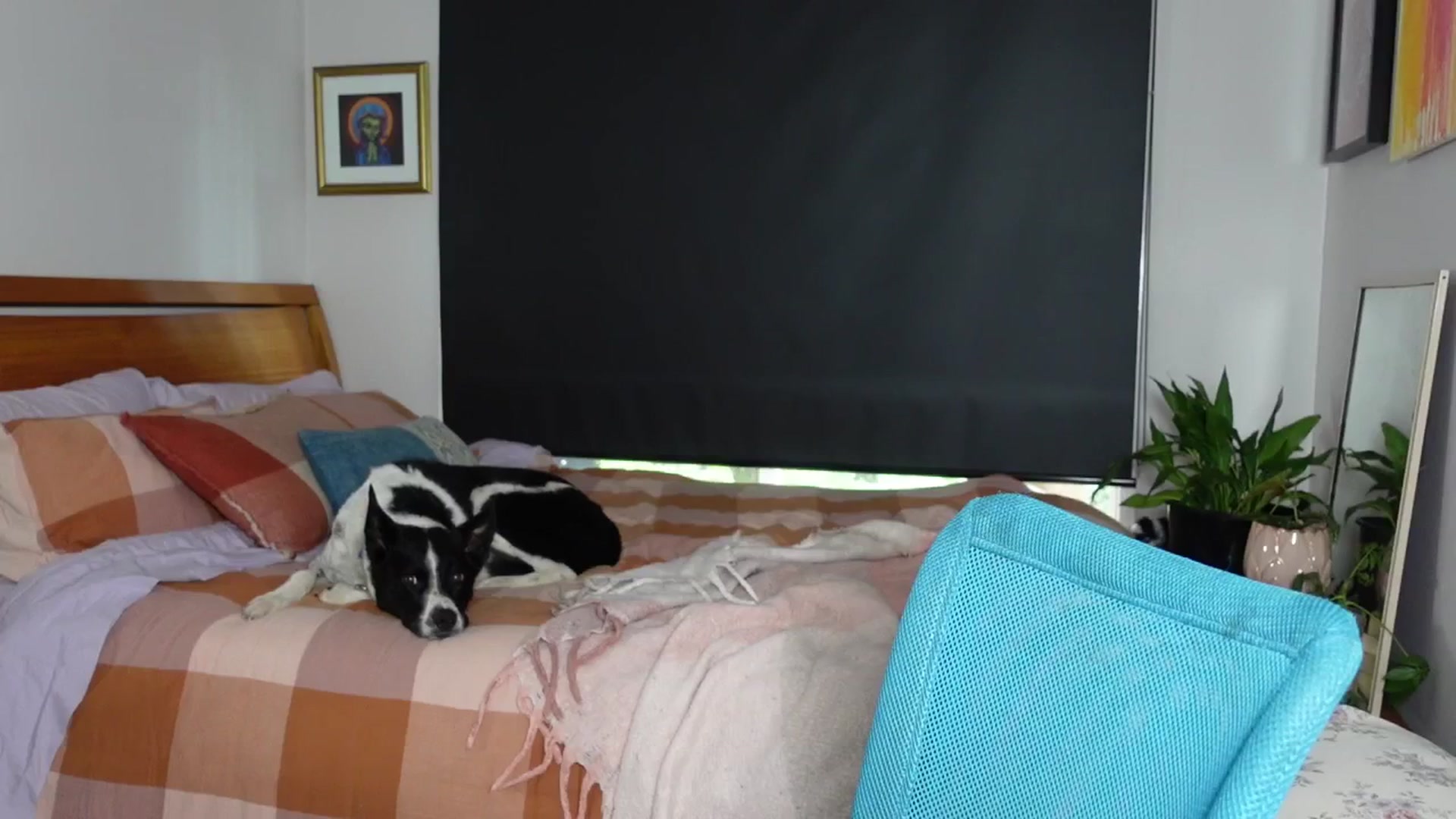 Gallery image thumbnail from Alt_Aussie's myfreecams stream on, 03/17/2026, 06:21 image 15 of 20