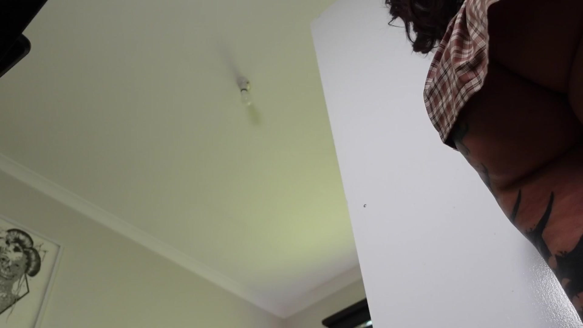 Gallery image thumbnail from Alt_Aussie's myfreecams stream on, 03/20/2026, 05:56 image 10 of 20