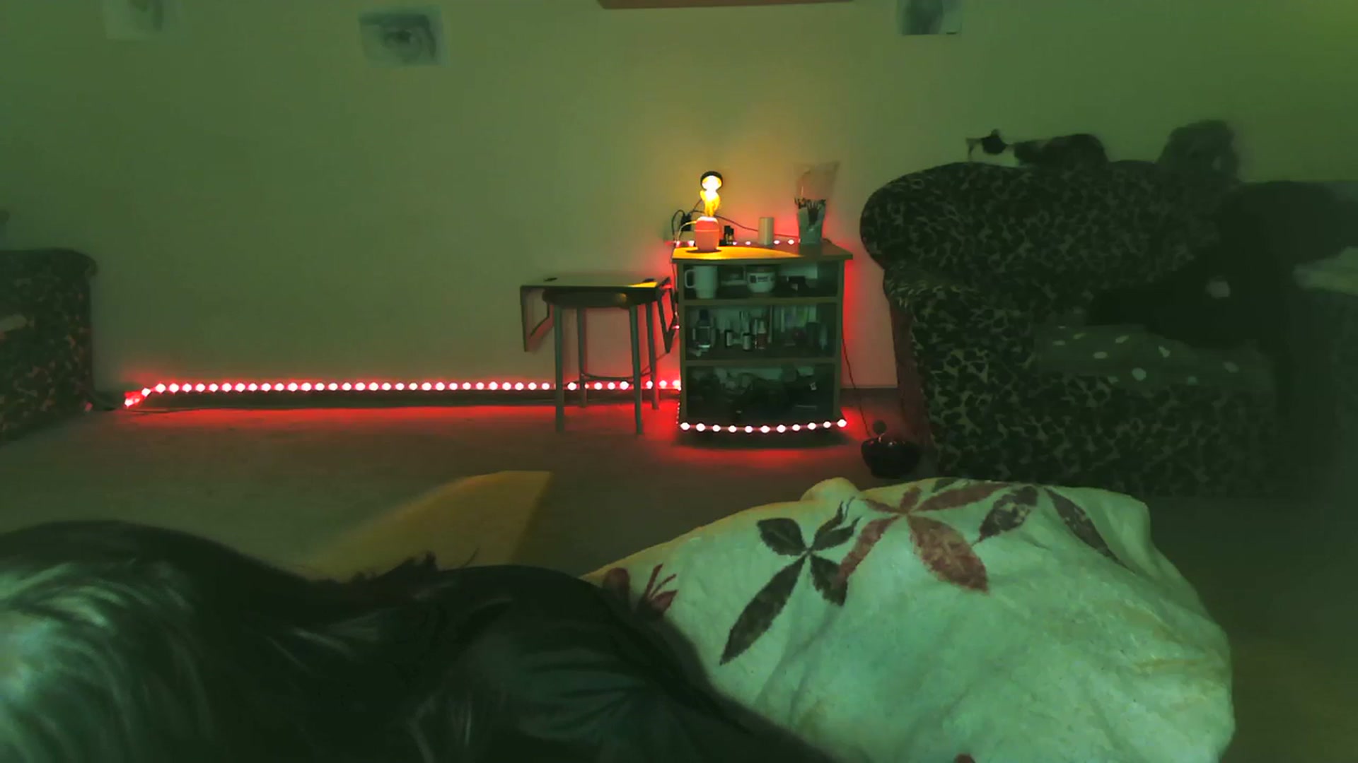 Gallery image thumbnail from Alter3g00's myfreecams stream on, 12/15/2023, 17:49 image 13 of 20