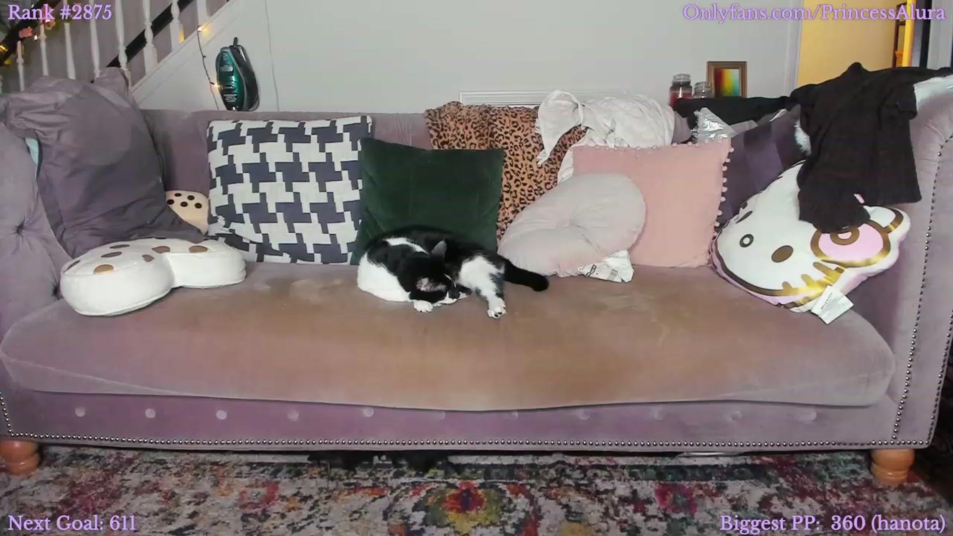 Gallery image thumbnail from Aluraa_'s myfreecams stream on, 01/19/2023, 24:03 image 20 of 20