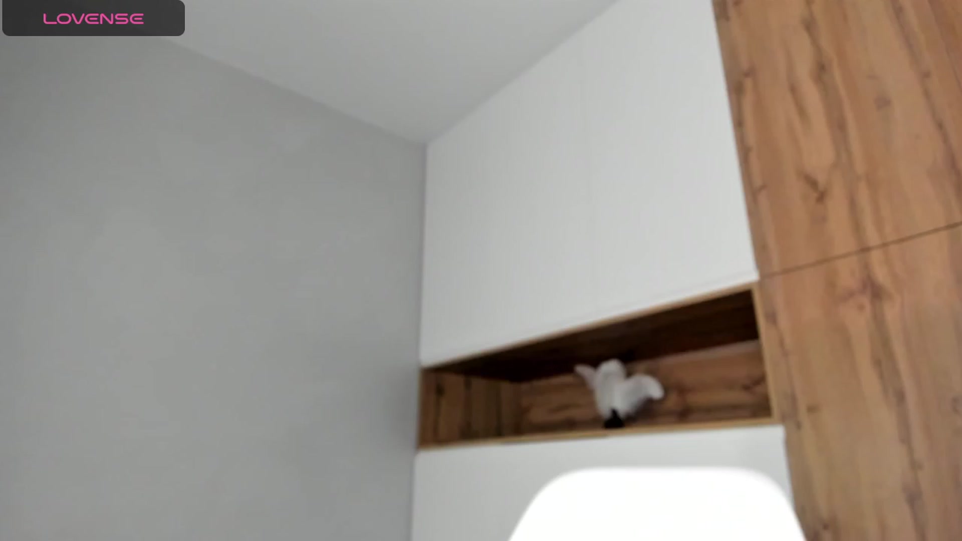 Gallery image thumbnail from AlwaysKate's myfreecams stream on, 11/29/2023, 22:23 image 19 of 20
