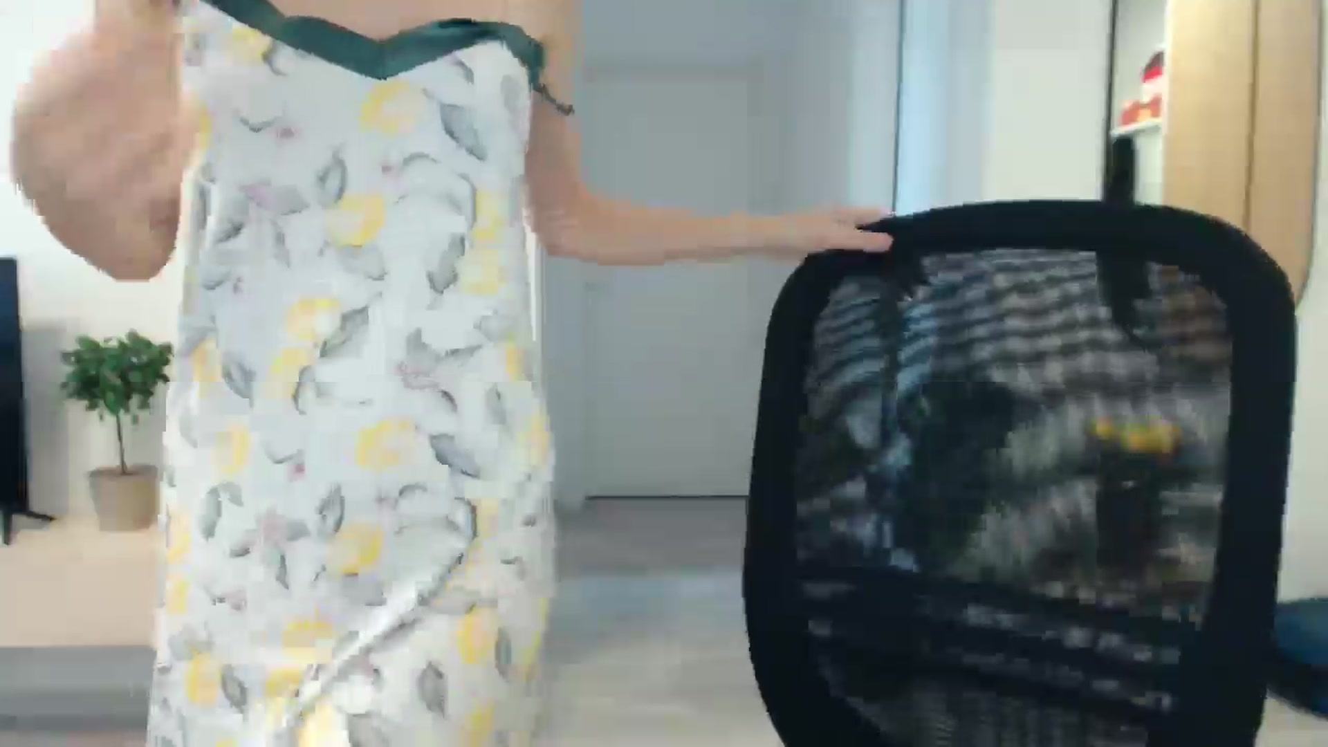 Gallery image thumbnail from AlyVee's myfreecams stream on, 09/24/2025, 10:36 image 3 of 20