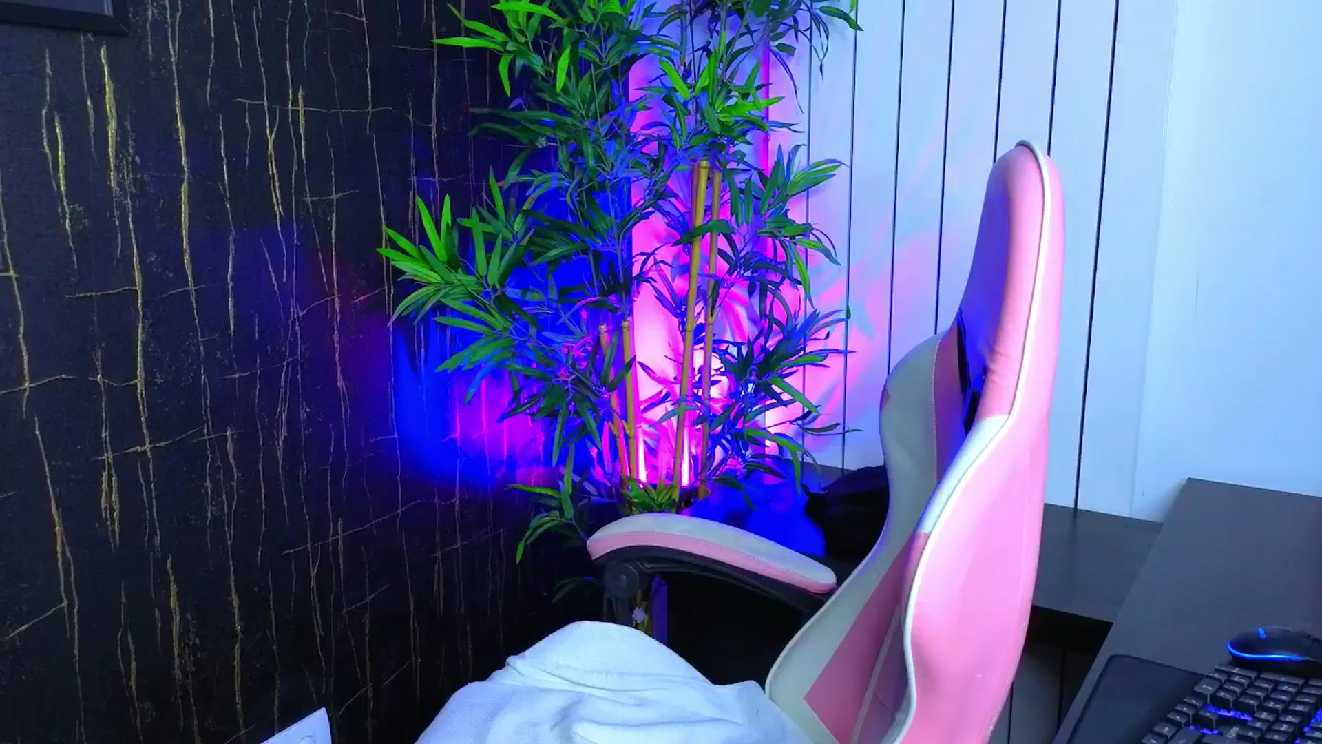 Gallery image thumbnail from Alysereuse's myfreecams stream on, 08/26/2025, 01:09 image 12 of 20