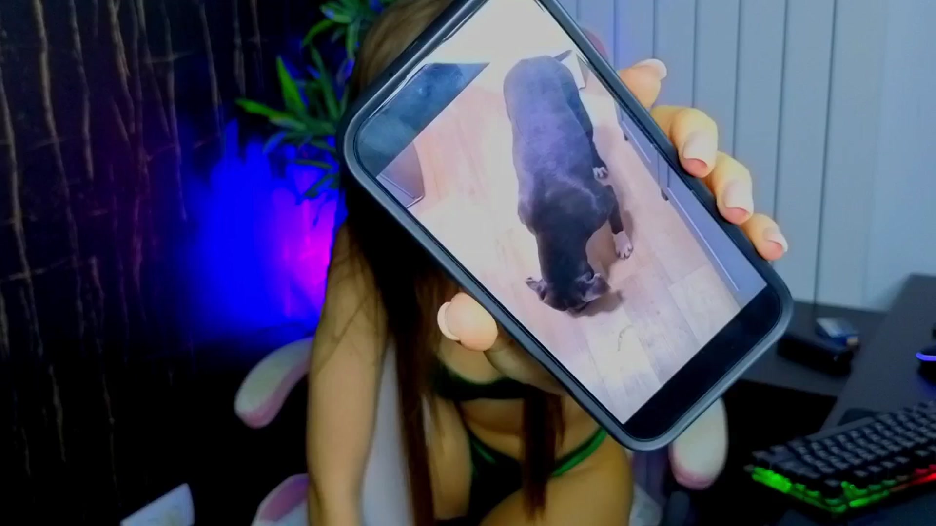 Gallery image thumbnail from Alysereuse's myfreecams stream on, 10/14/2025, 01:54 image 16 of 20