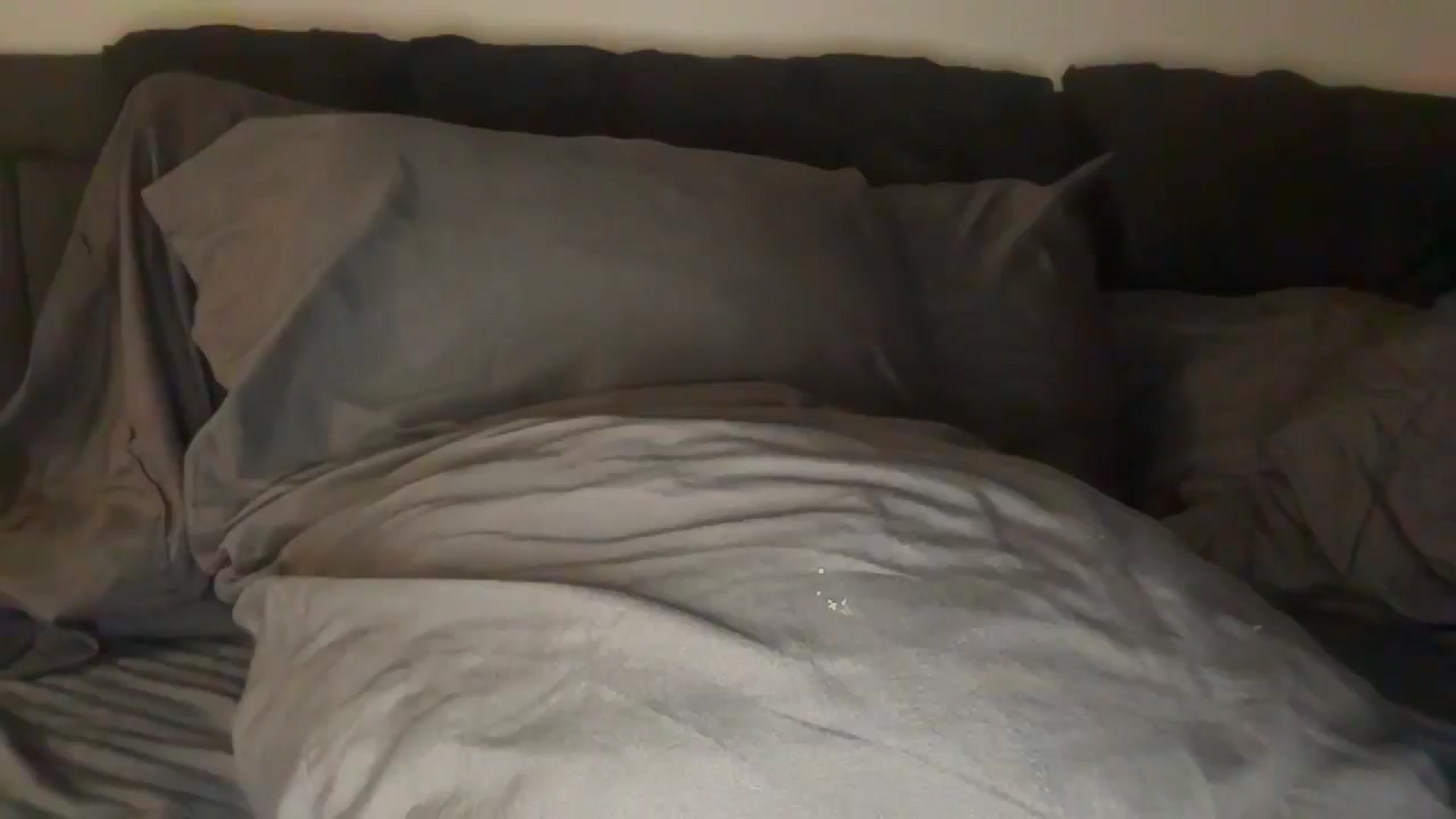 Gallery image thumbnail from AlyssaJones's myfreecams stream on, 11/23/2025, 08:41 image 20 of 20