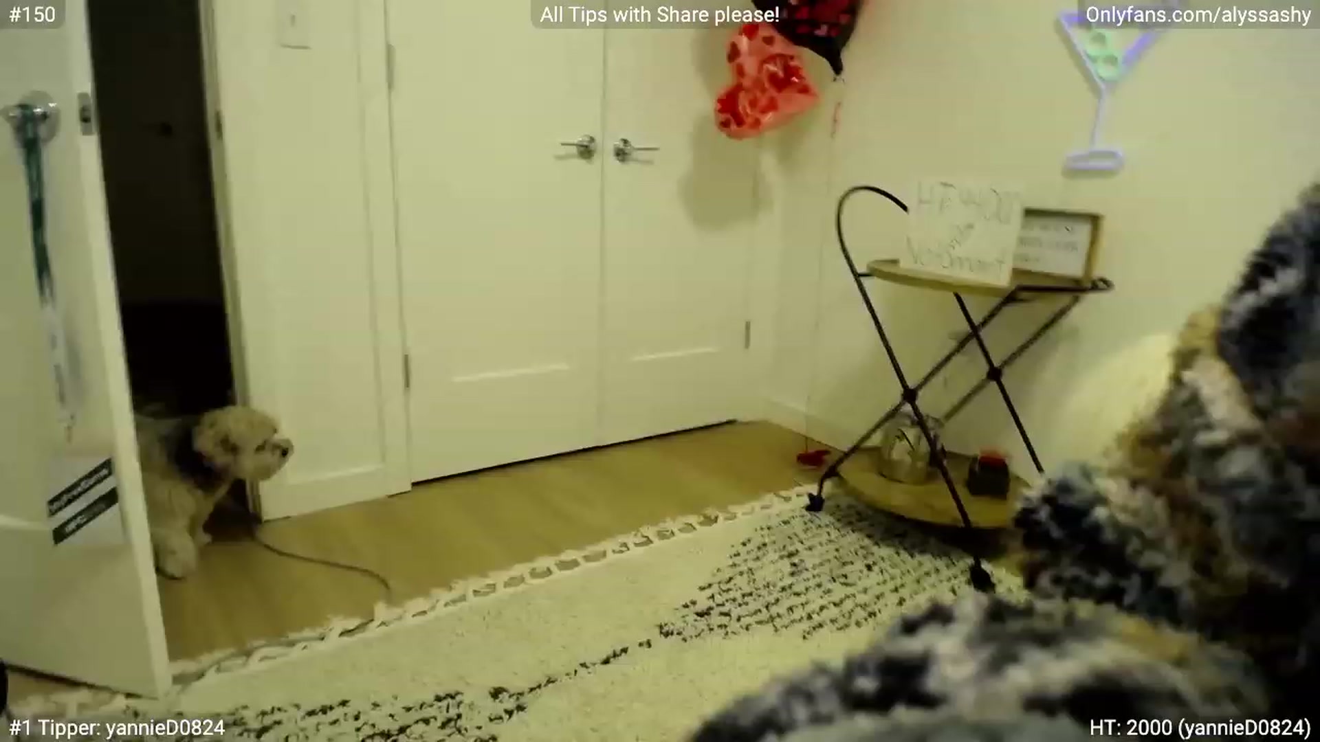 Gallery image thumbnail from AlyssaShy's myfreecams stream on, 02/27/2023, 23:48 image 5 of 20