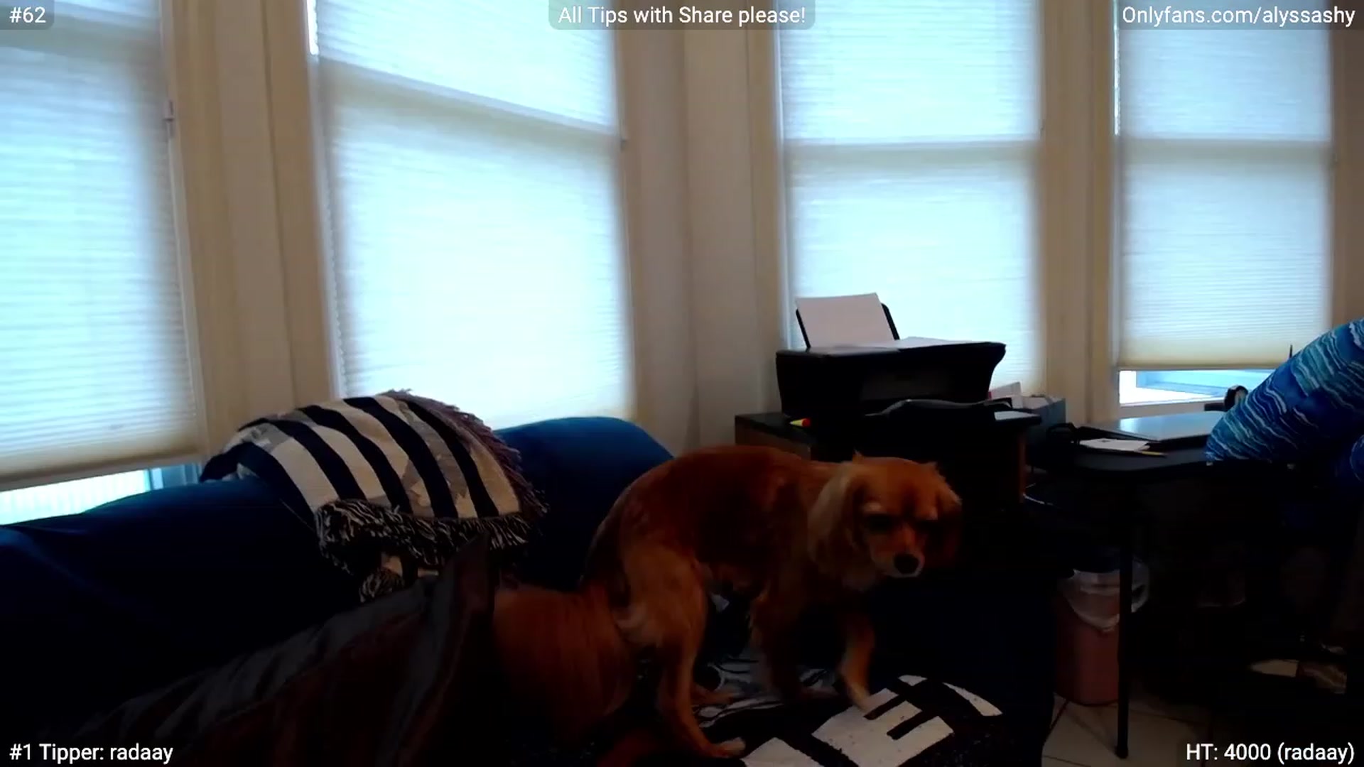 Gallery image thumbnail from AlyssaShy's myfreecams stream on, 07/14/2023, 22:47 image 15 of 20