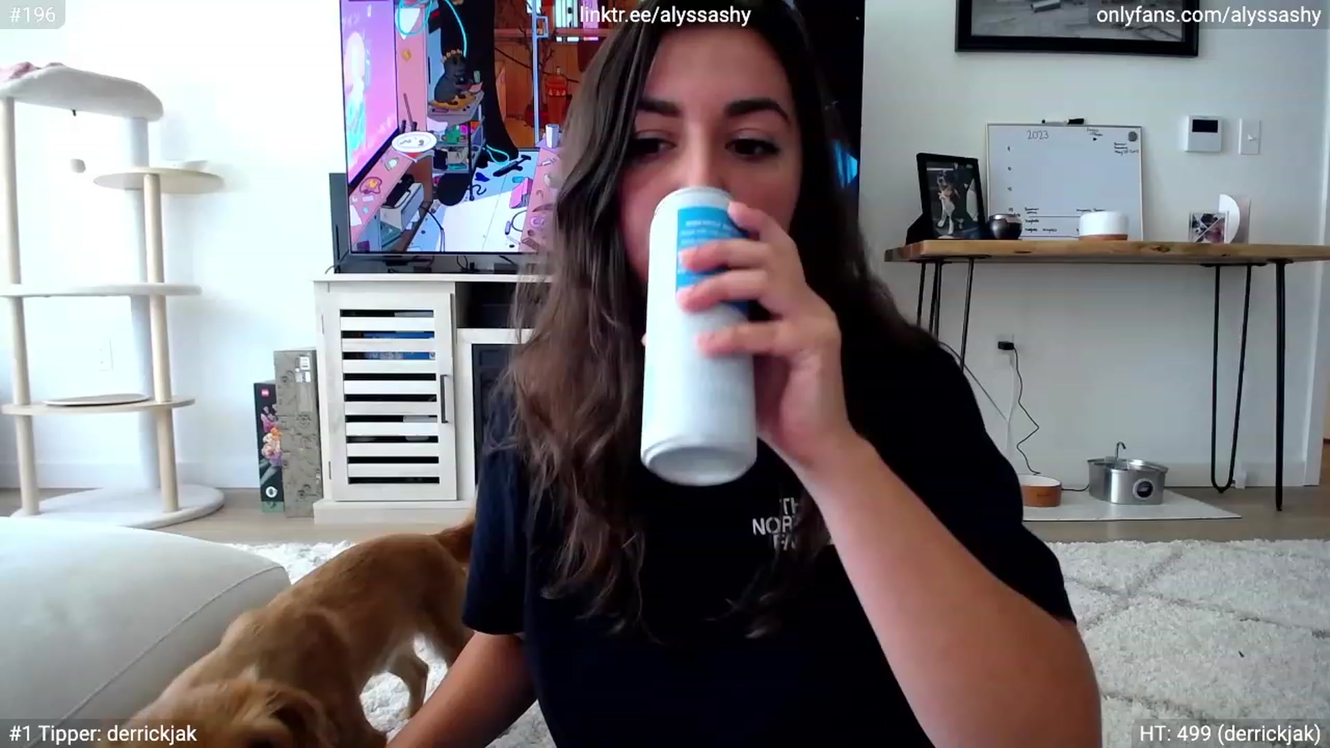 Gallery image thumbnail from AlyssaShy's myfreecams stream on, 08/27/2023, 16:55 image 14 of 20