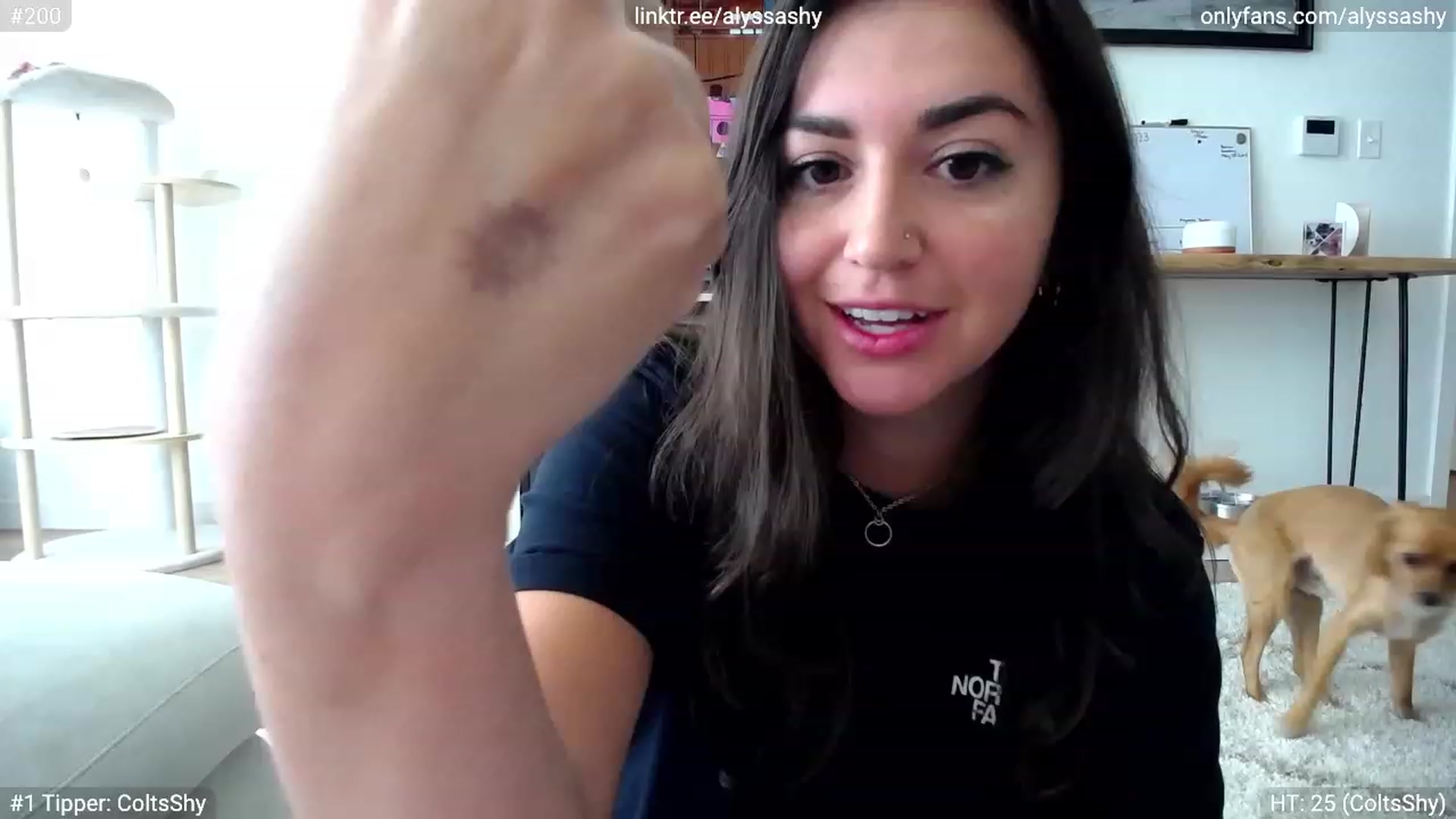 Gallery image thumbnail from AlyssaShy's myfreecams stream on, 08/27/2023, 16:55 image 3 of 20