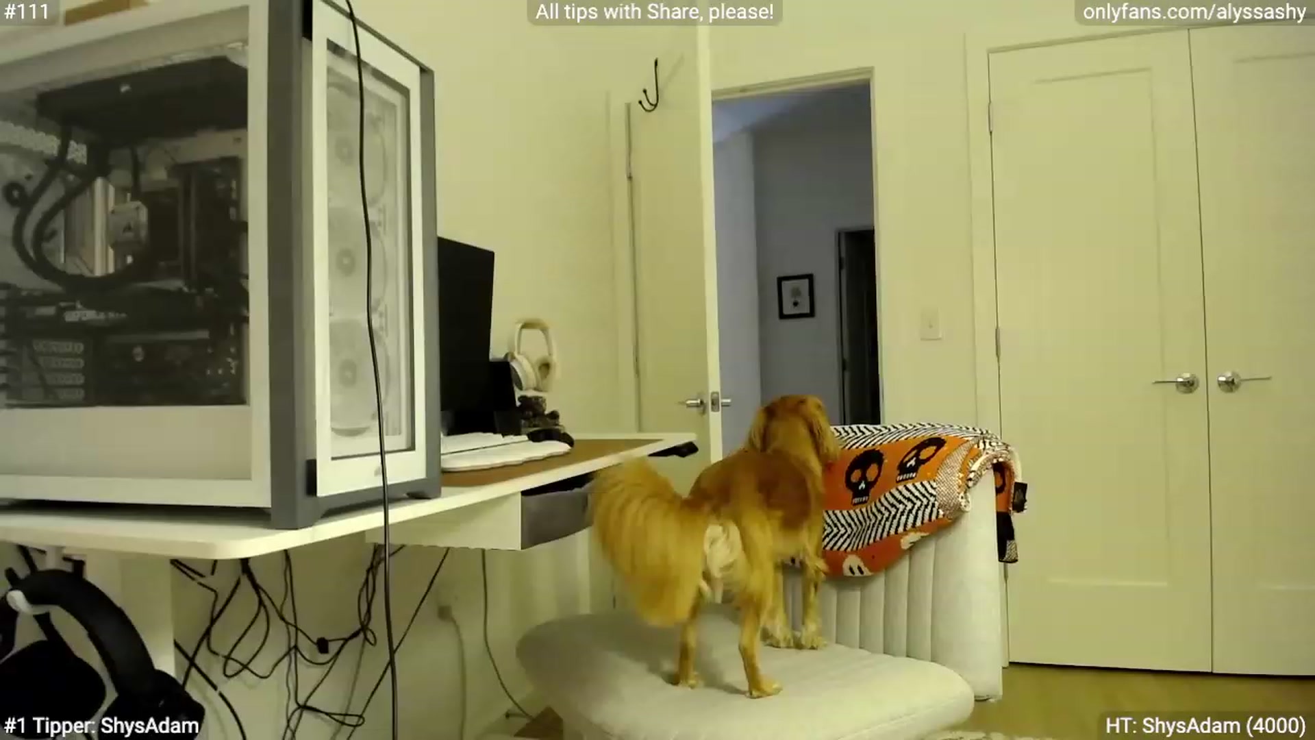 Gallery image thumbnail from AlyssaShy's myfreecams stream on, 11/07/2023, 01:11 image 17 of 20