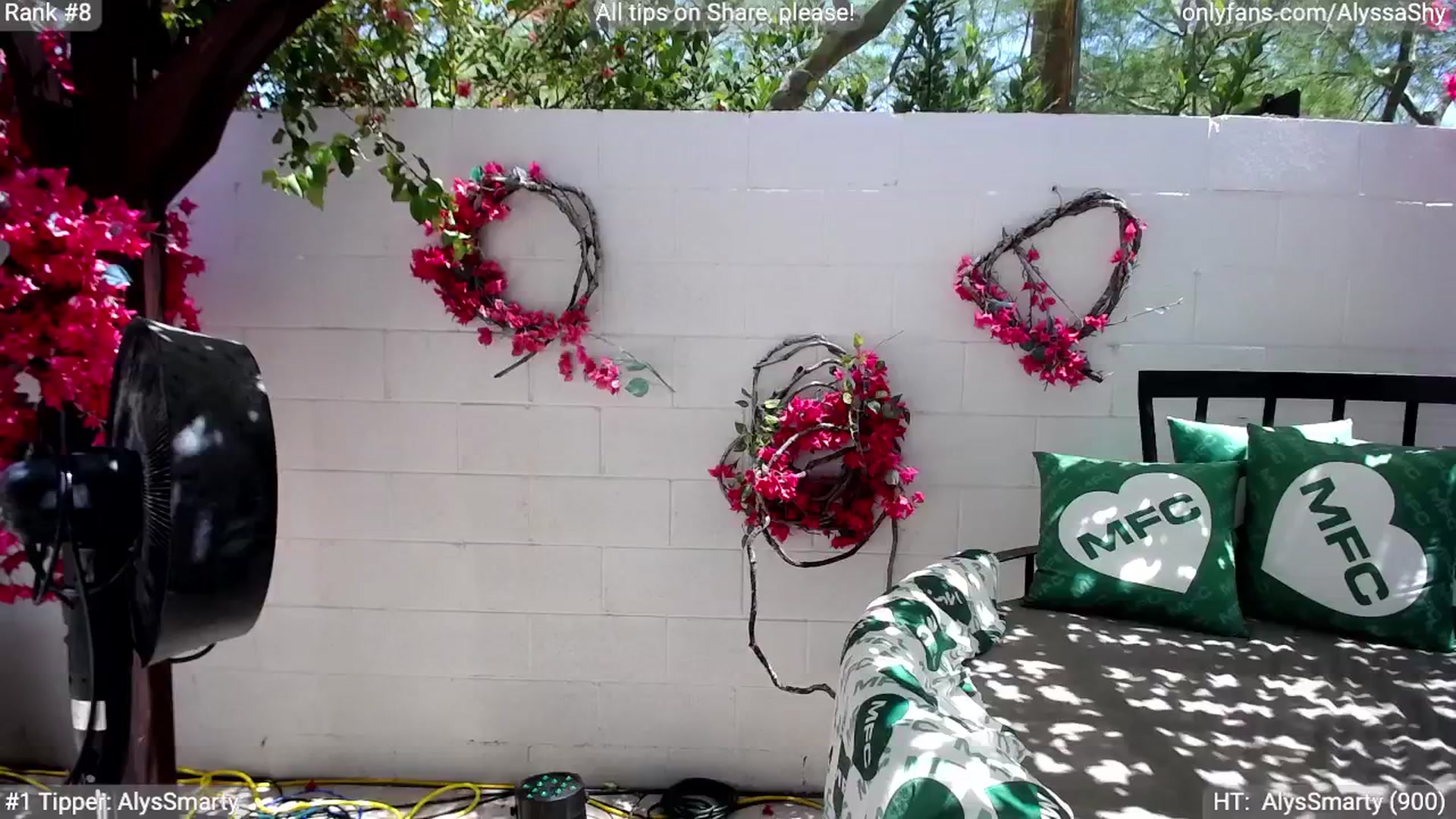 Gallery image thumbnail from AlyssaShy's myfreecams stream on, 05/22/2024, 20:18 image 15 of 20