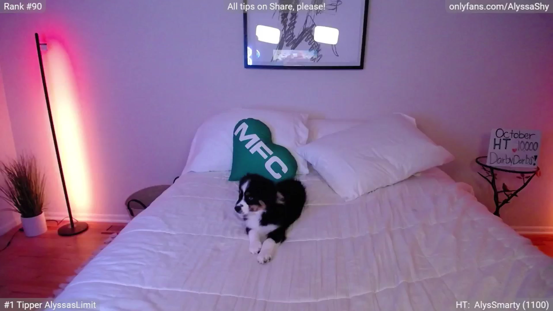Gallery image thumbnail from AlyssaShy's myfreecams stream on, 11/01/2024, 04:00 image 16 of 20
