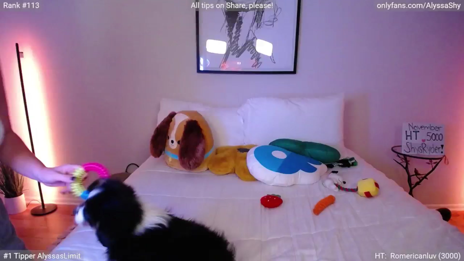 Gallery image thumbnail from AlyssaShy's myfreecams stream on, 11/09/2024, 24:04 image 18 of 20