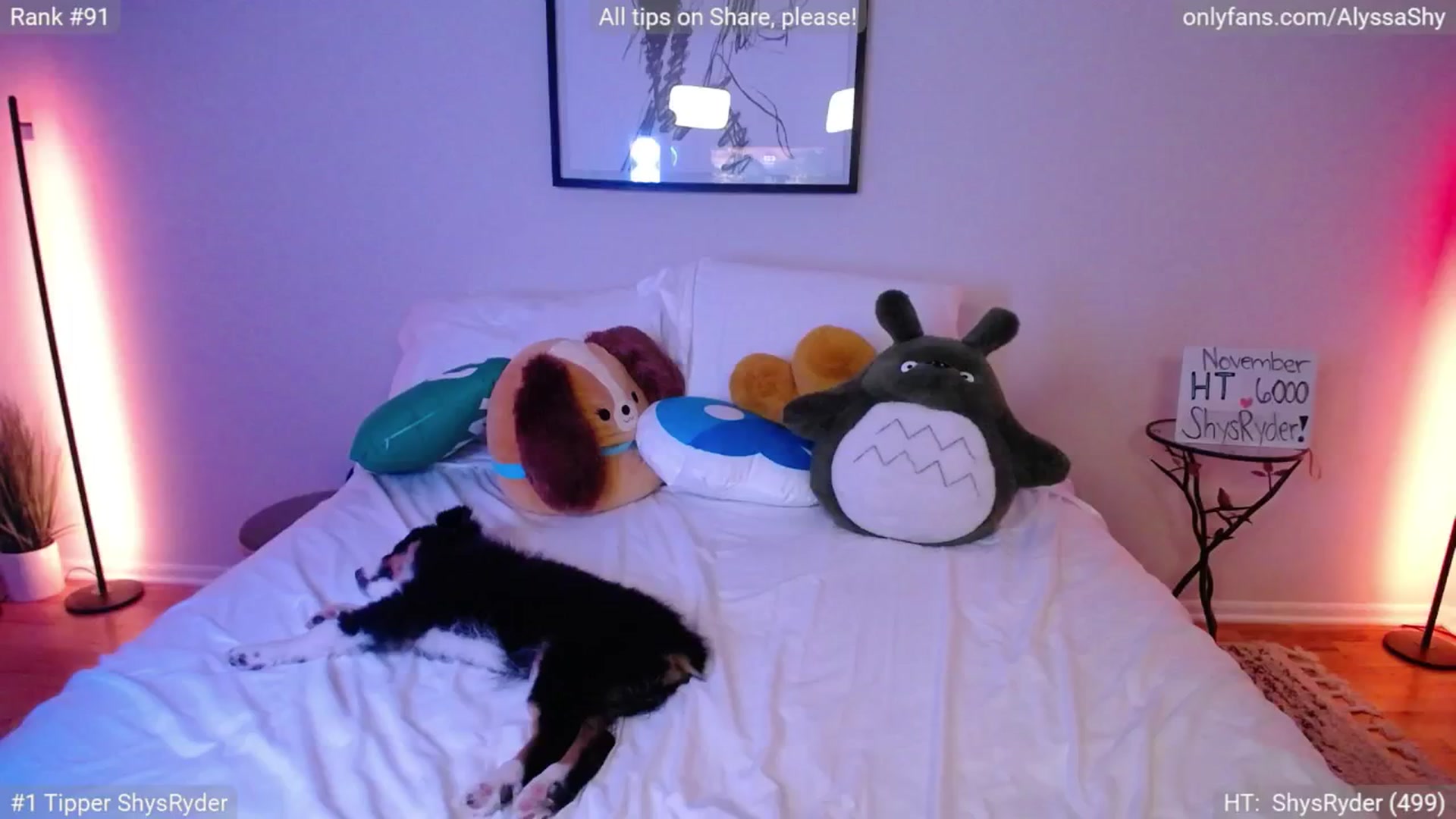 Gallery image thumbnail from AlyssaShy's myfreecams stream on, 11/18/2024, 24:02 image 12 of 20
