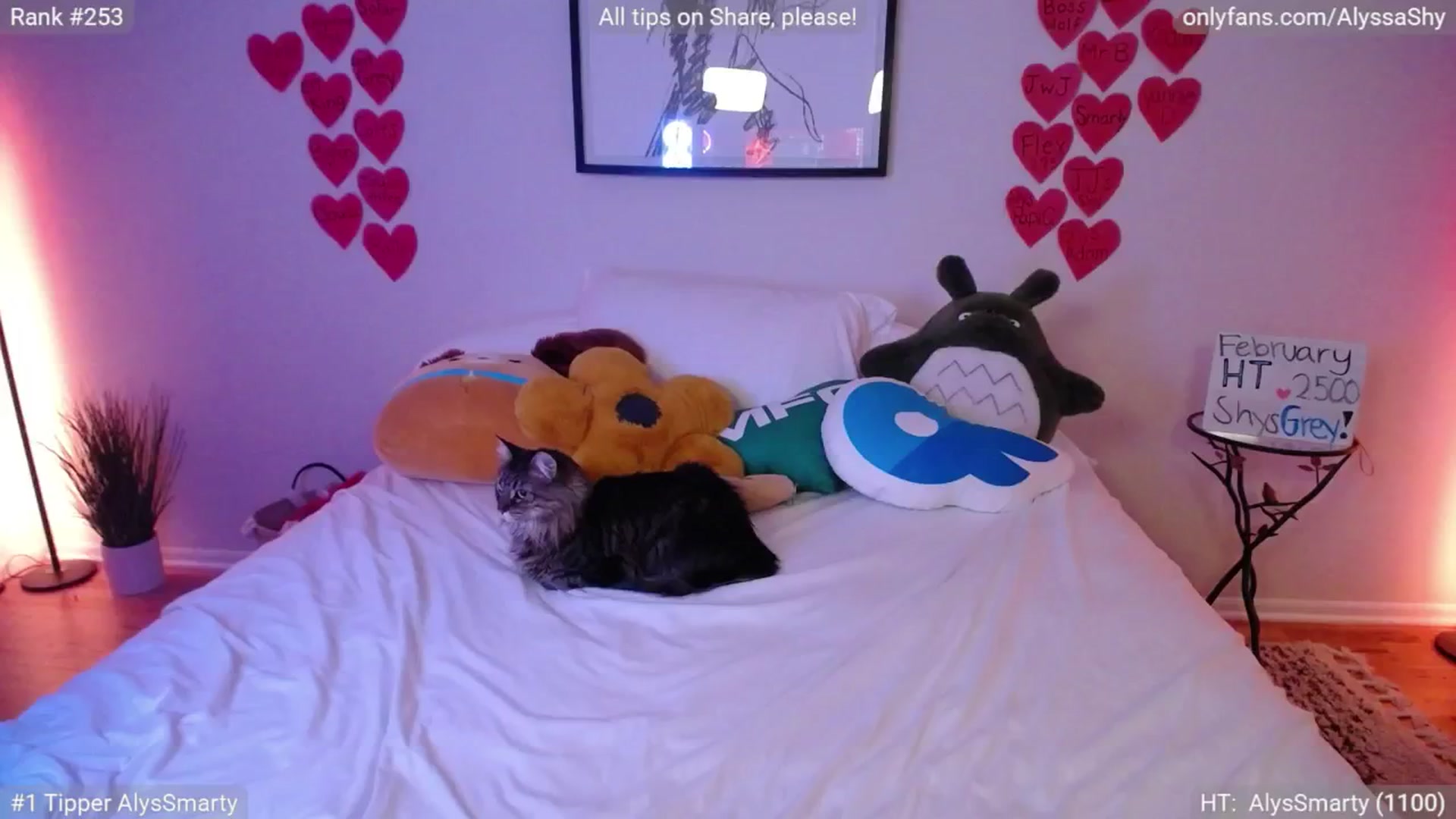 Gallery image thumbnail from AlyssaShy's myfreecams stream on, 02/14/2025, 01:57 image 16 of 20