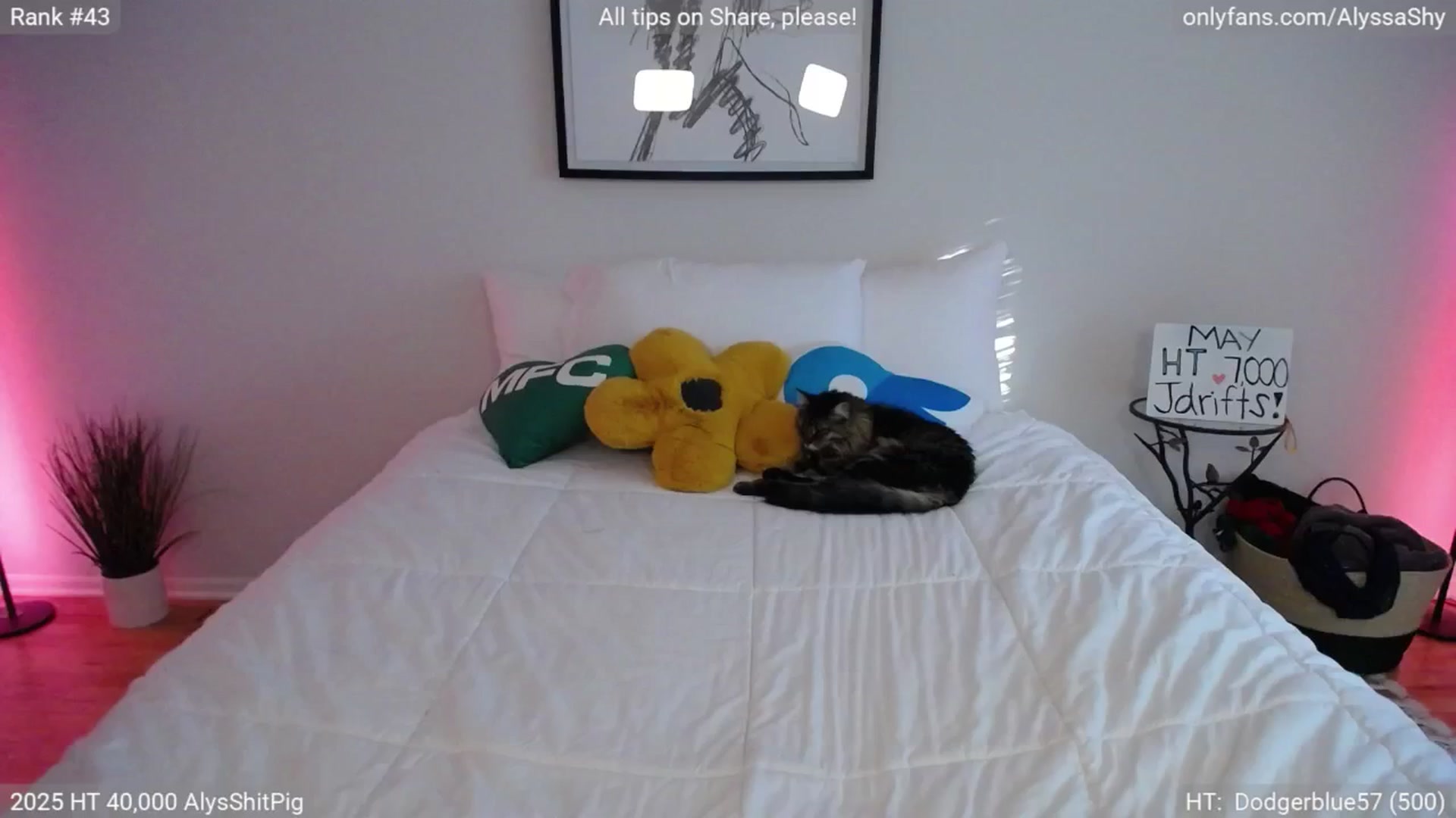 Gallery image thumbnail from AlyssaShy's myfreecams stream on, 05/18/2025, 24:06 image 9 of 20