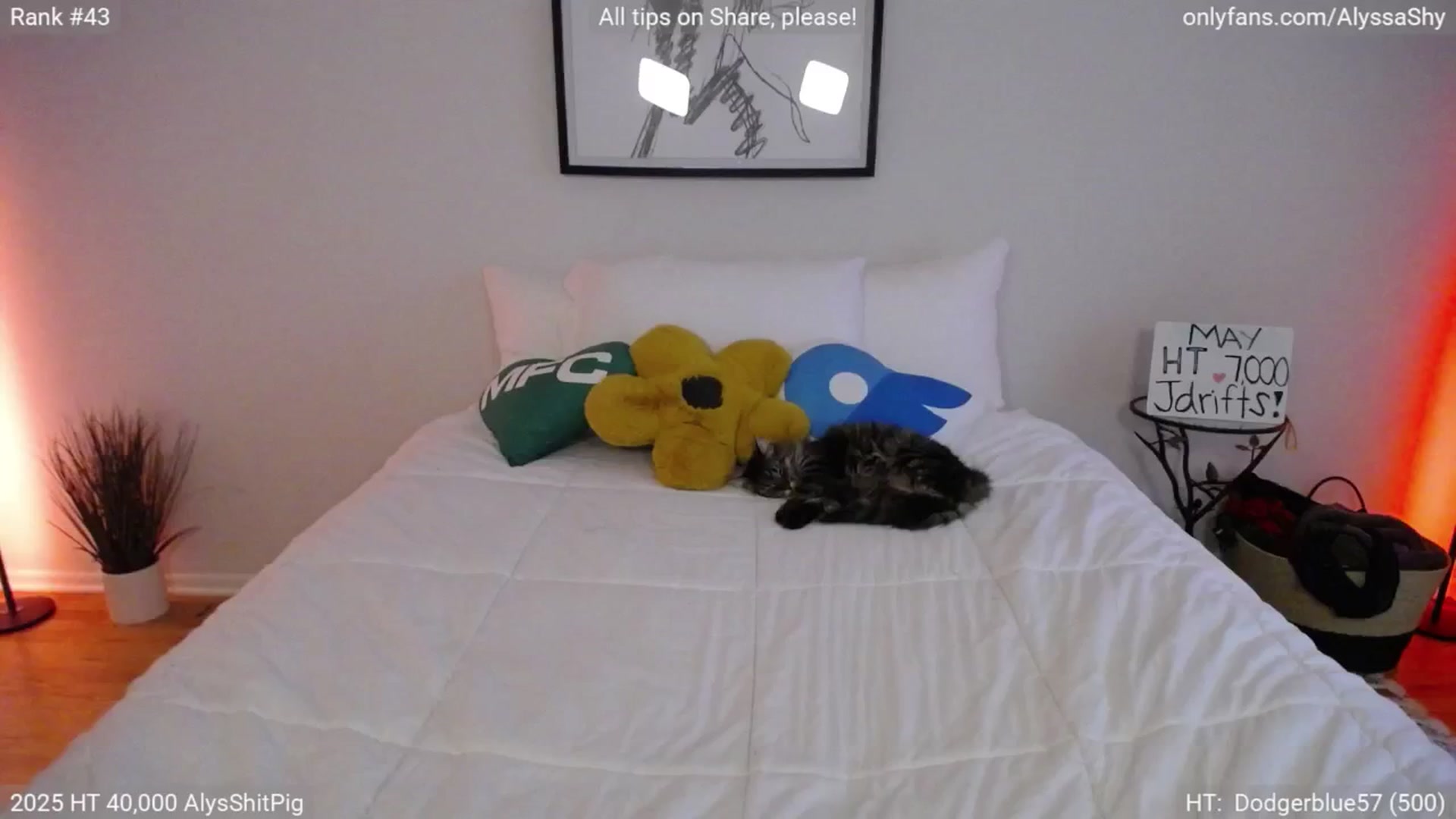 Gallery image thumbnail from AlyssaShy's myfreecams stream on, 05/18/2025, 24:06 image 16 of 20