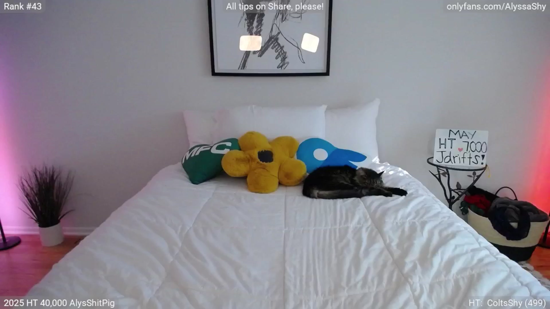 Gallery image thumbnail from AlyssaShy's myfreecams stream on, 05/18/2025, 24:06 image 3 of 20