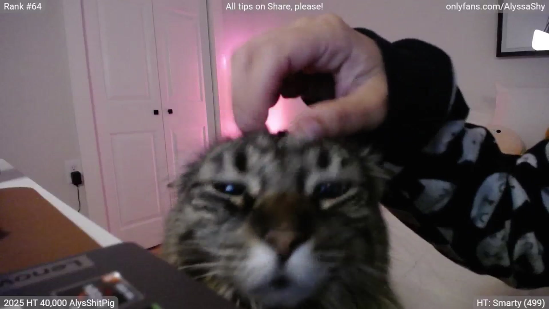 Gallery image thumbnail from AlyssaShy's myfreecams stream on, 07/27/2025, 01:58 image 9 of 20