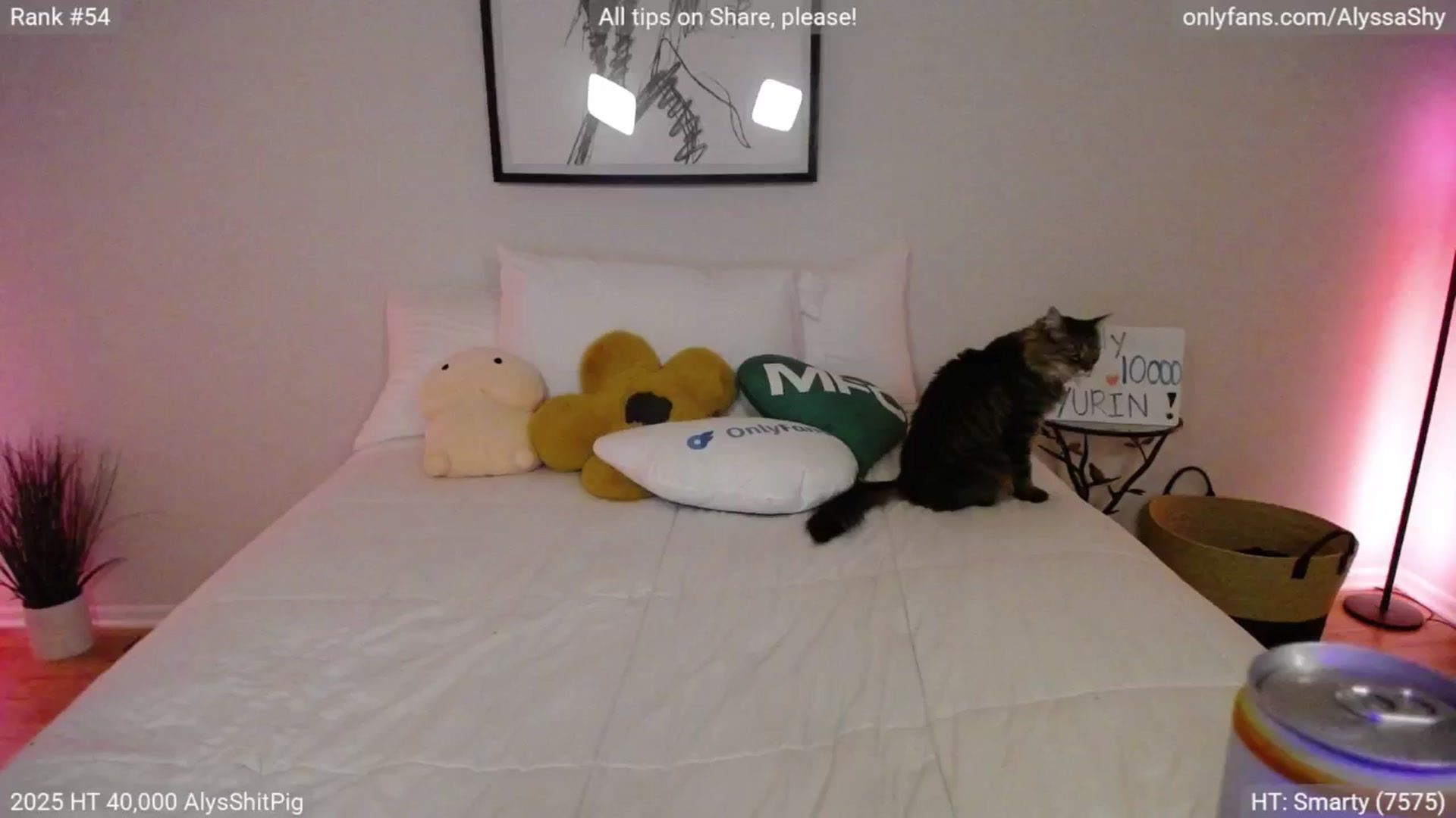 Gallery image thumbnail from AlyssaShy's myfreecams stream on, 08/01/2025, 03:19 image 15 of 20