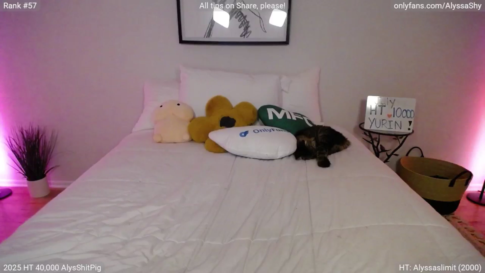 Gallery image thumbnail from AlyssaShy's myfreecams stream on, 08/02/2025, 03:13 image 12 of 20