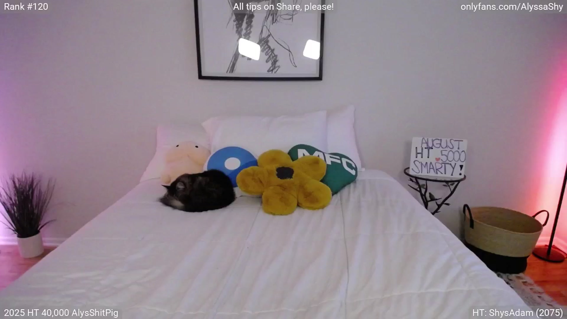 Gallery image thumbnail from AlyssaShy's myfreecams stream on, 08/09/2025, 02:57 image 7 of 20