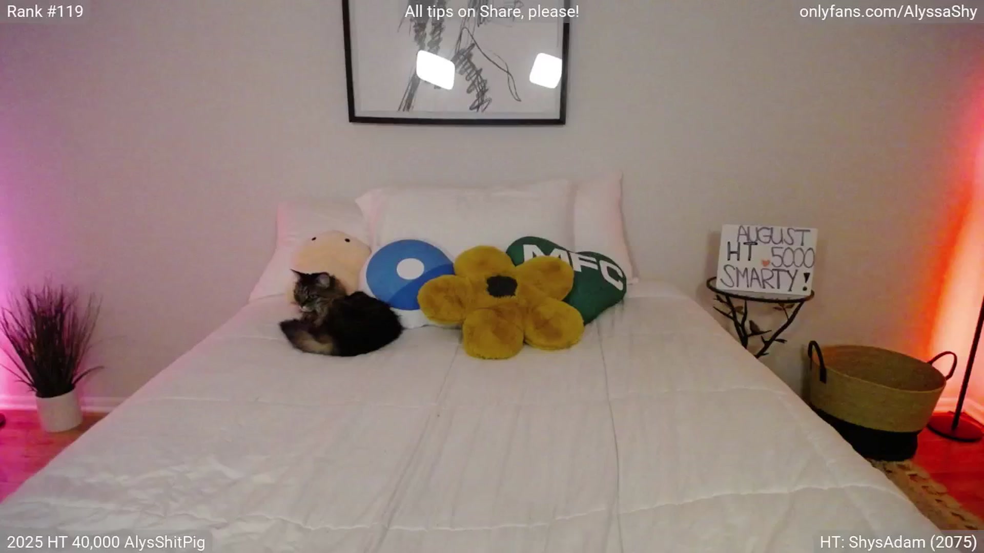 Gallery image thumbnail from AlyssaShy's myfreecams stream on, 08/09/2025, 04:04 image 2 of 20