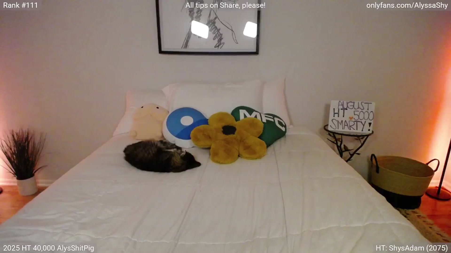 Gallery image thumbnail from AlyssaShy's myfreecams stream on, 08/09/2025, 04:04 image 12 of 20
